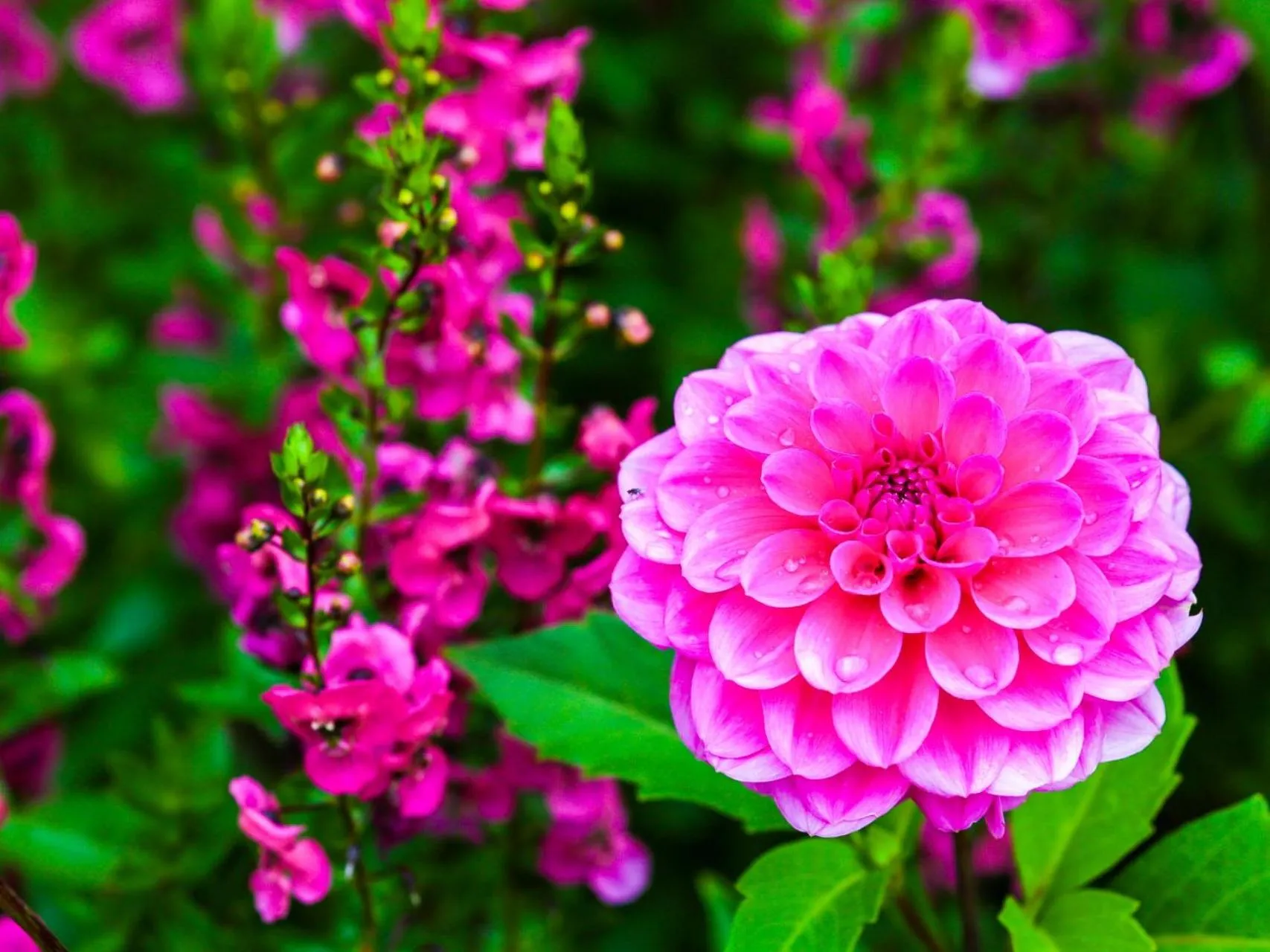 Nearby landmark in Lake Side Nikko Hotel