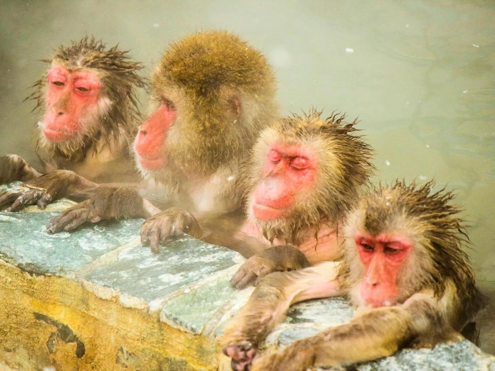 Nearby landmark in Lake Side Nikko Hotel