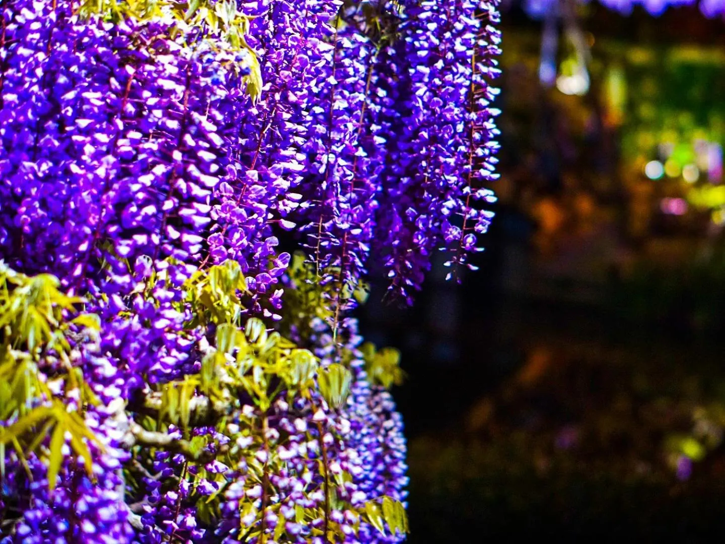 Nearby landmark in Lake Side Nikko Hotel