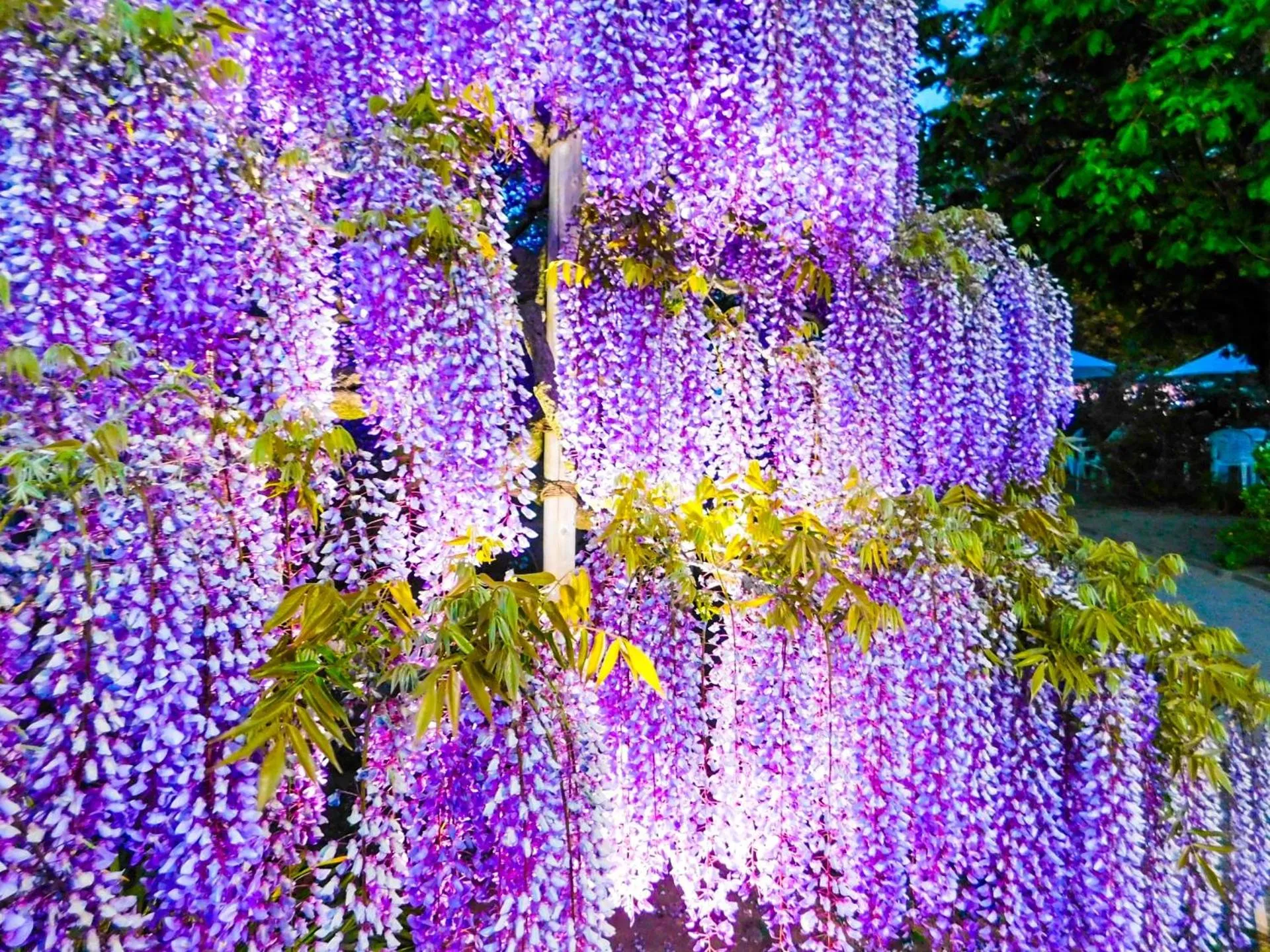 Nearby landmark in Lake Side Nikko Hotel