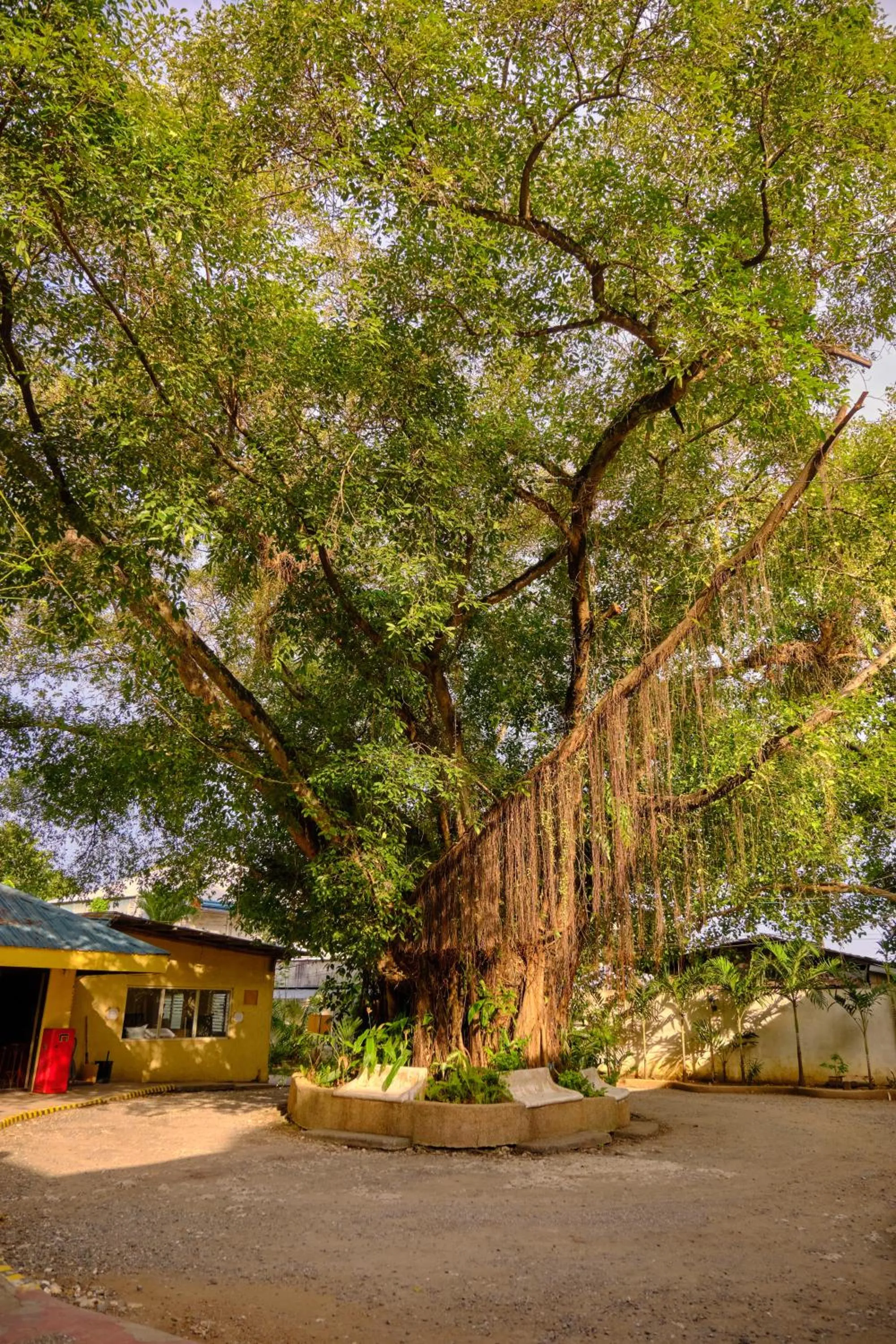 Property building in Hidden Hill Hotel