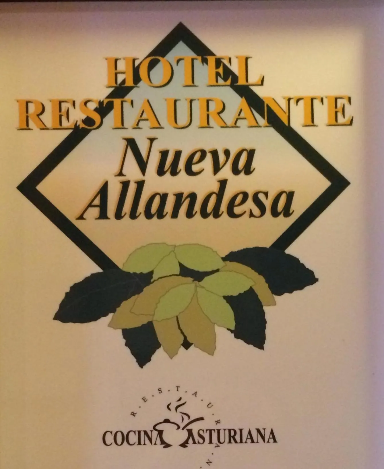 Property logo or sign in Hotel Nueva Allandesa