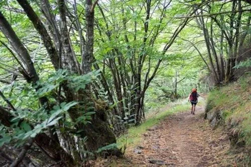 Natural landscape in Hotel Nueva Allandesa
