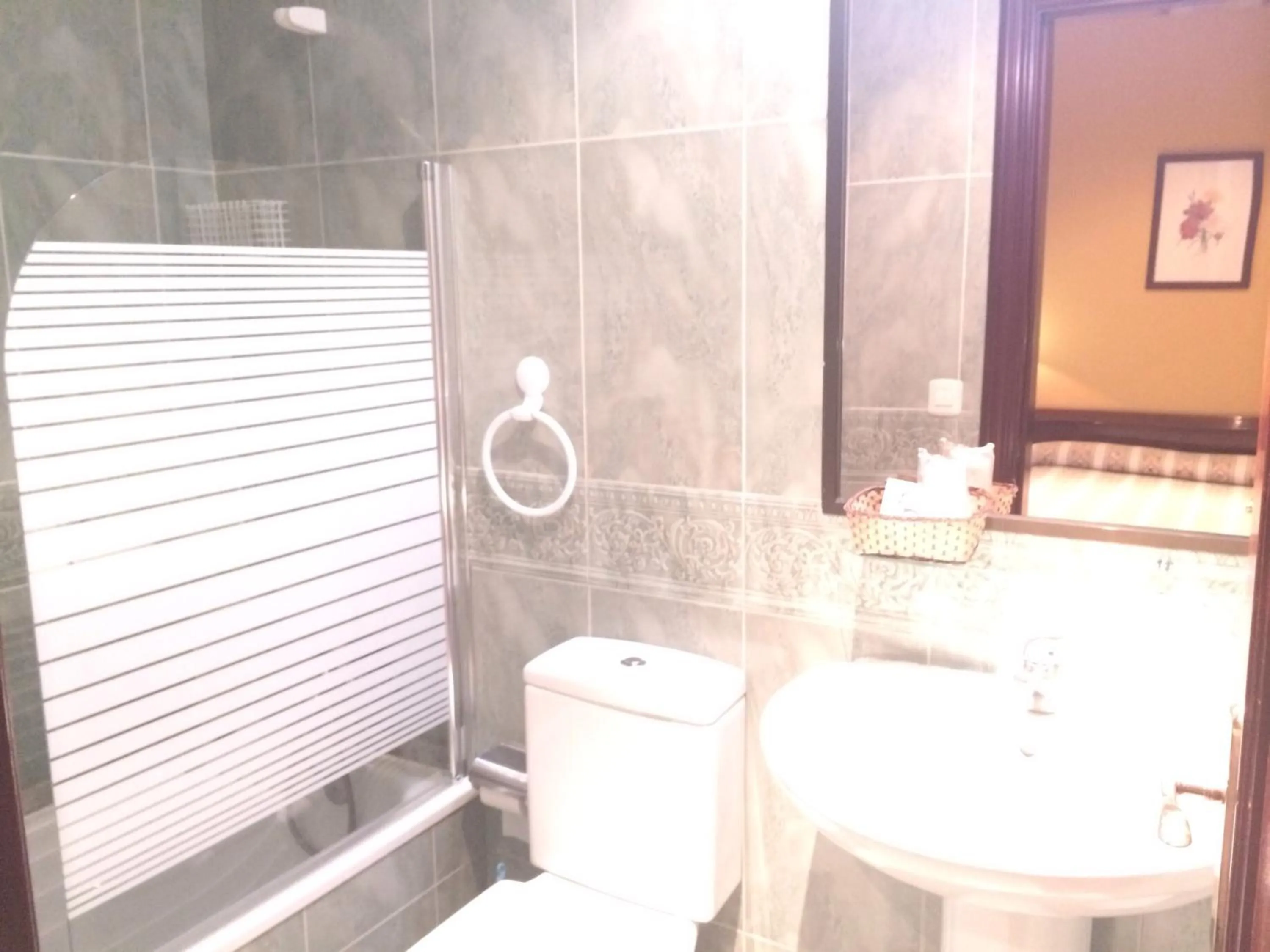 Bathroom in Hotel Nueva Allandesa