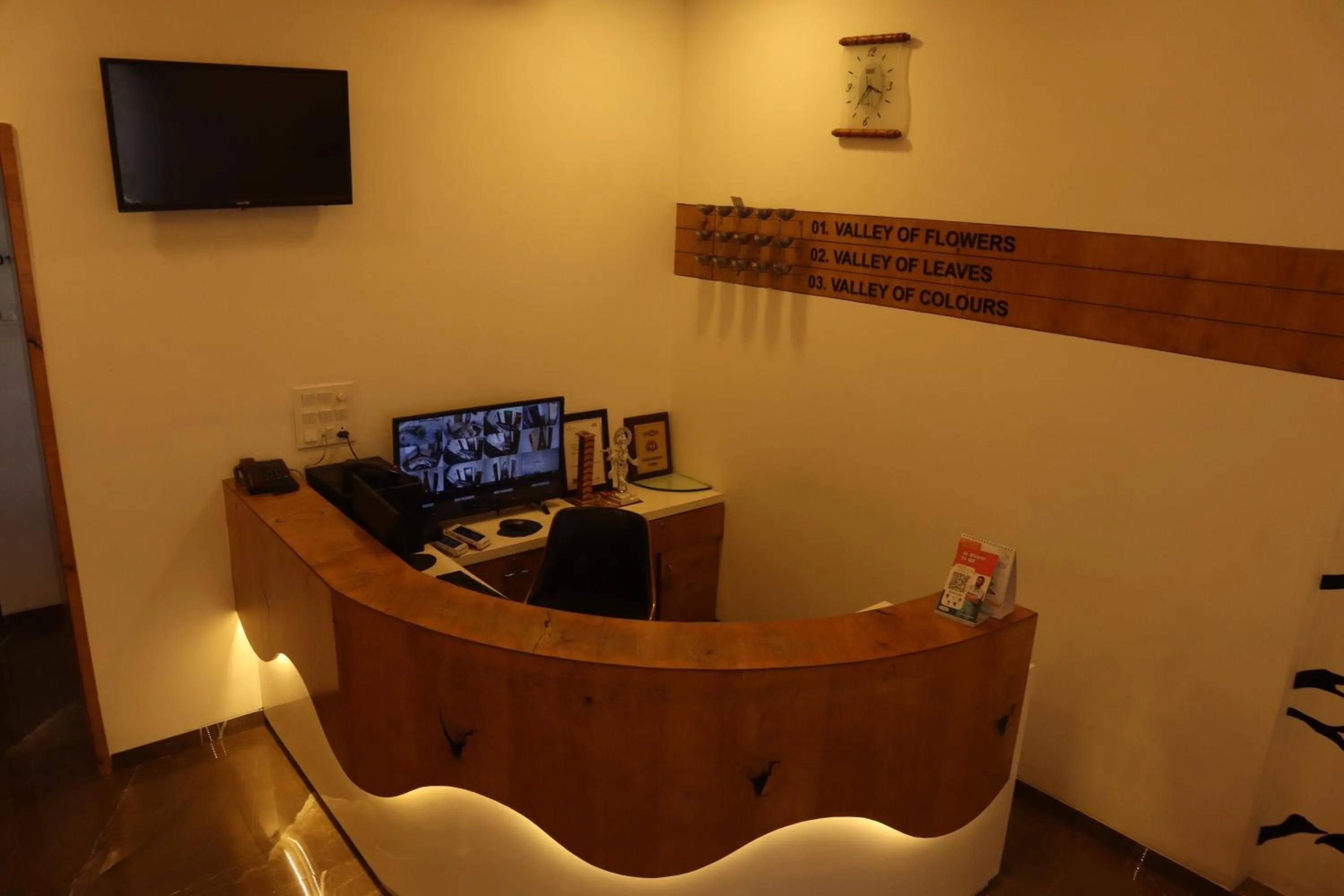 TV and multimedia in Hotel Grand Ecotel, Aurangabad