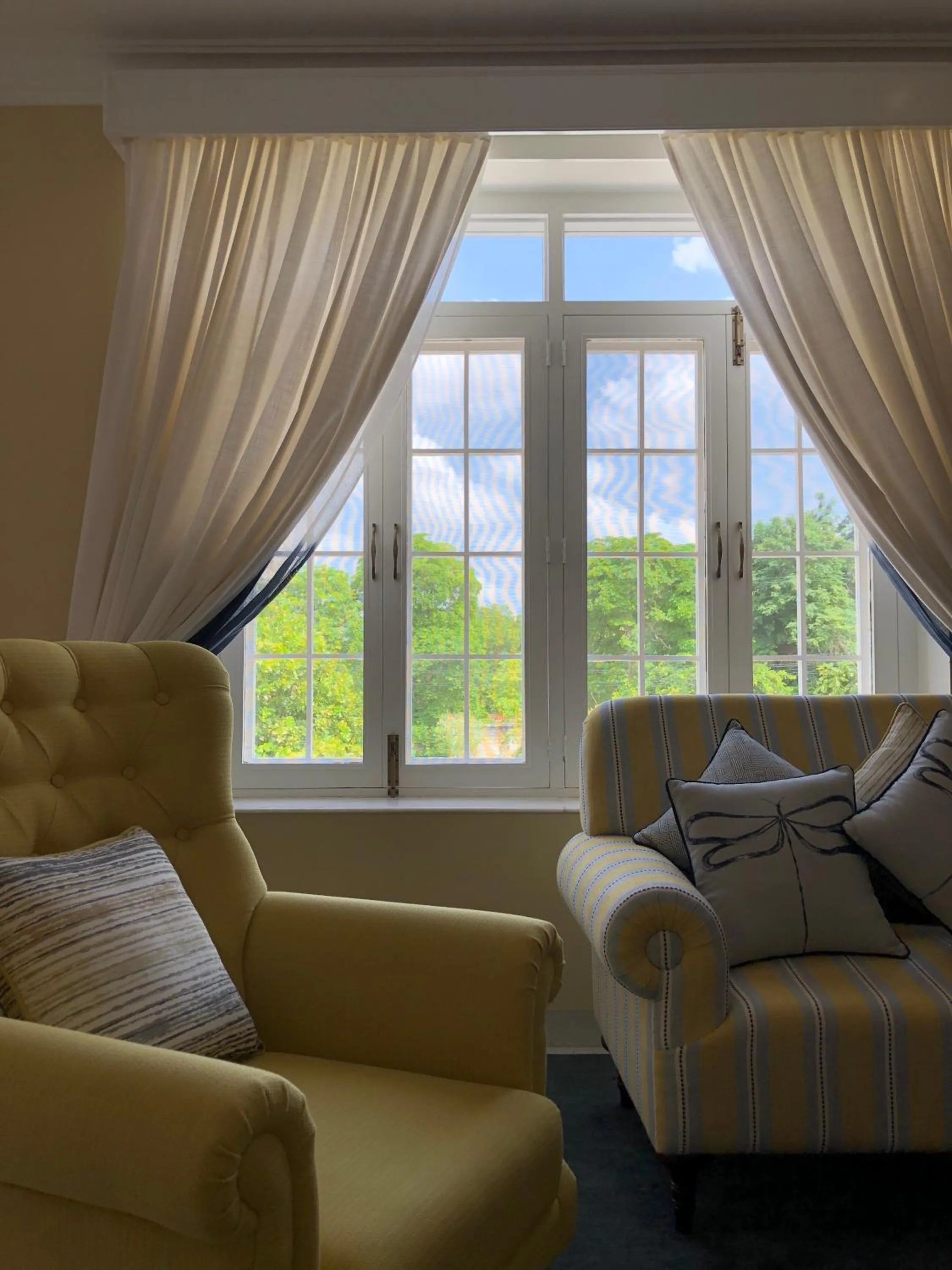 Garden view in The Rohet House