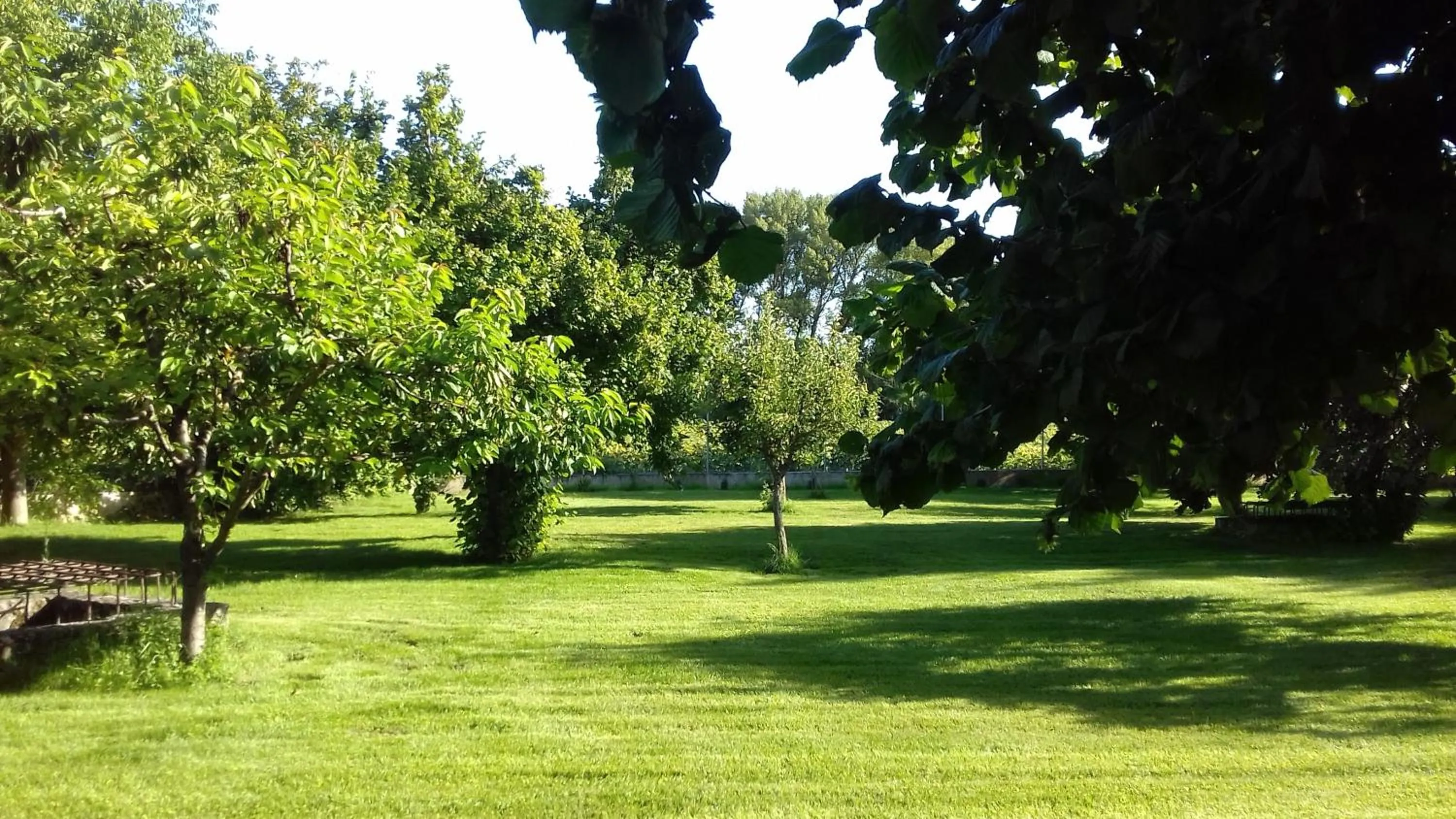 Summer in Molino De La Vega