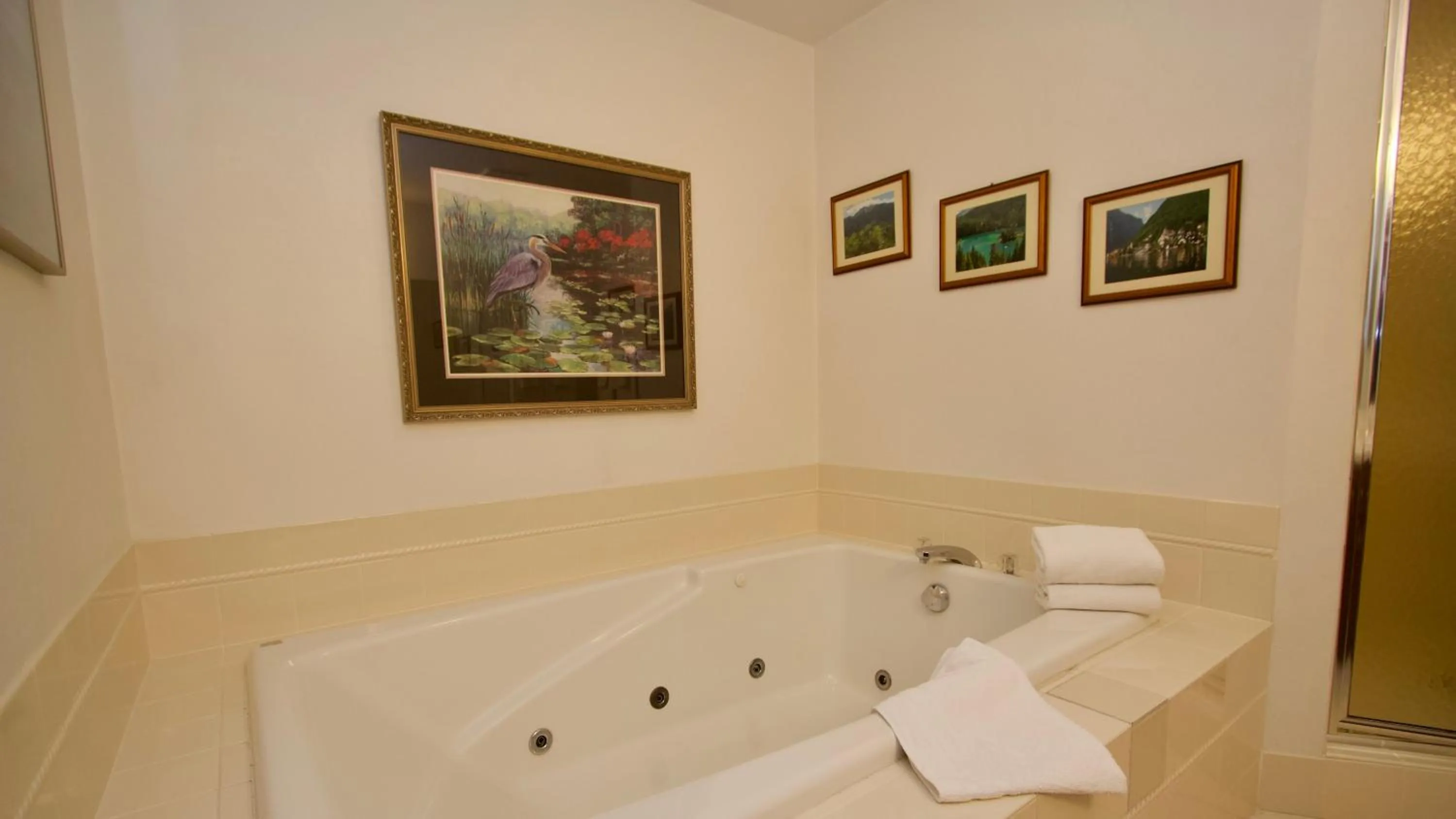 Bathroom in Baileys Harbor Yacht Club Resort