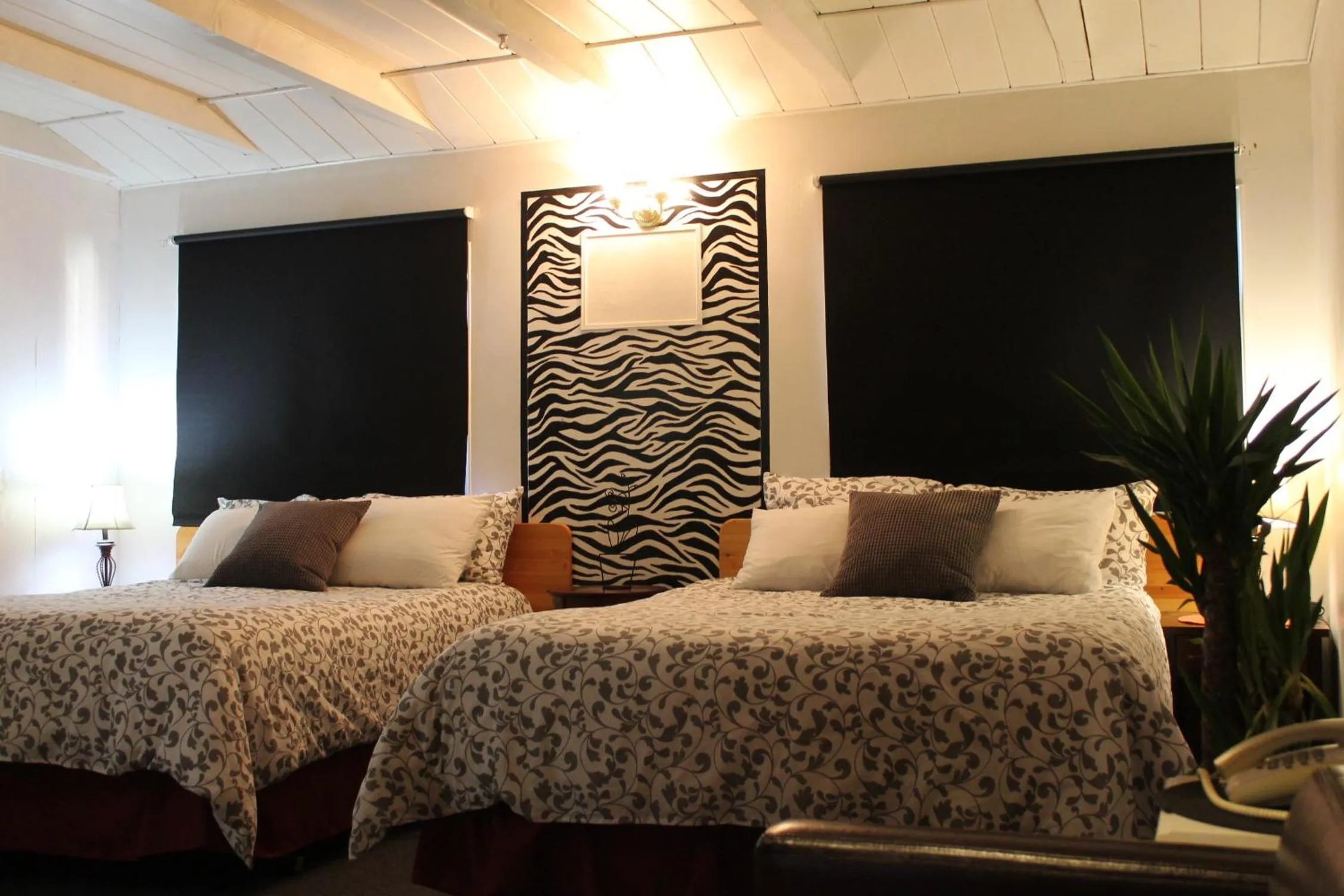 Bed in Sage Hills Motel