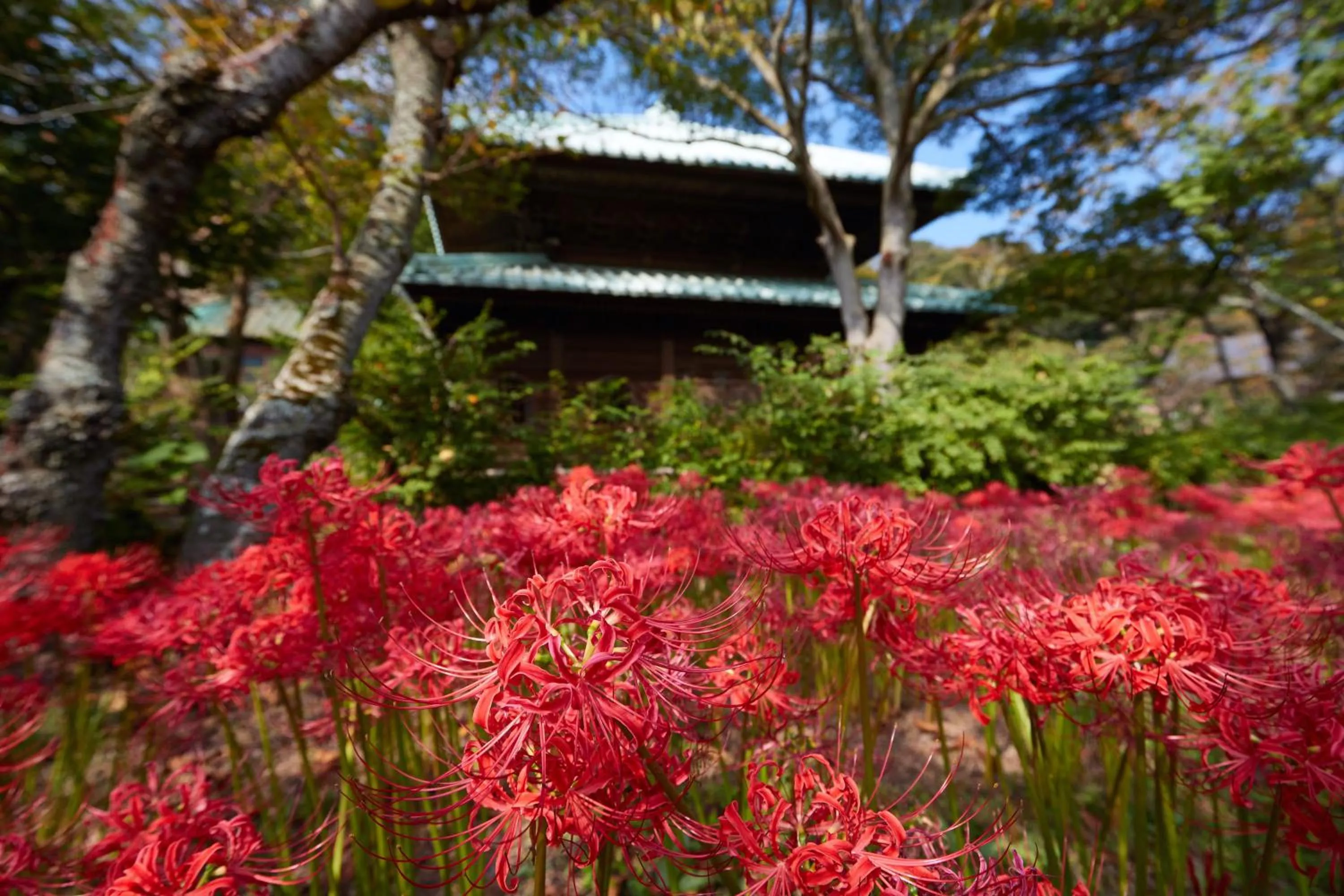 Nearby landmark in KAMAKURA Hotel