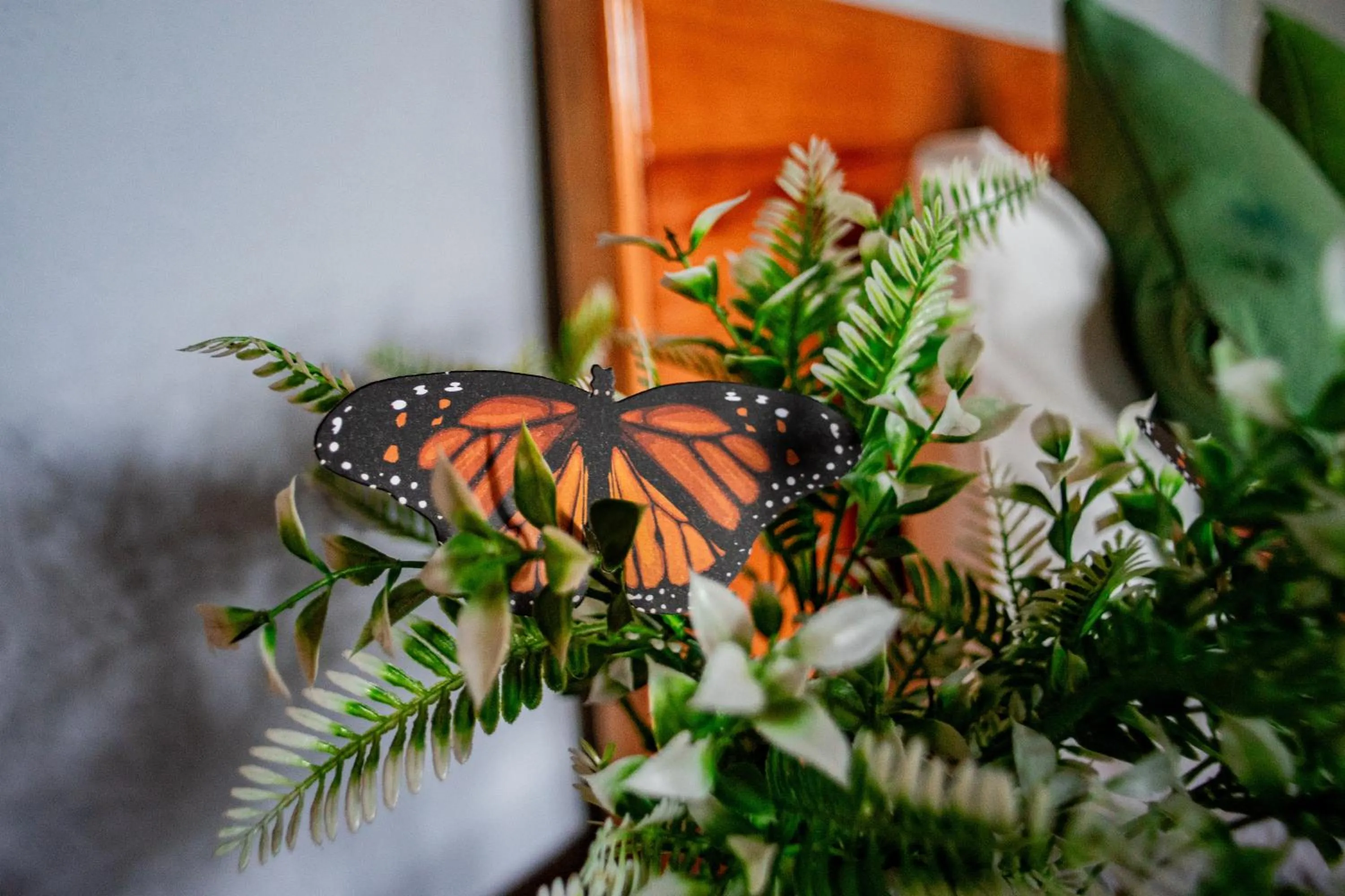 HOTEL EX HACIENDA EL MOLINO