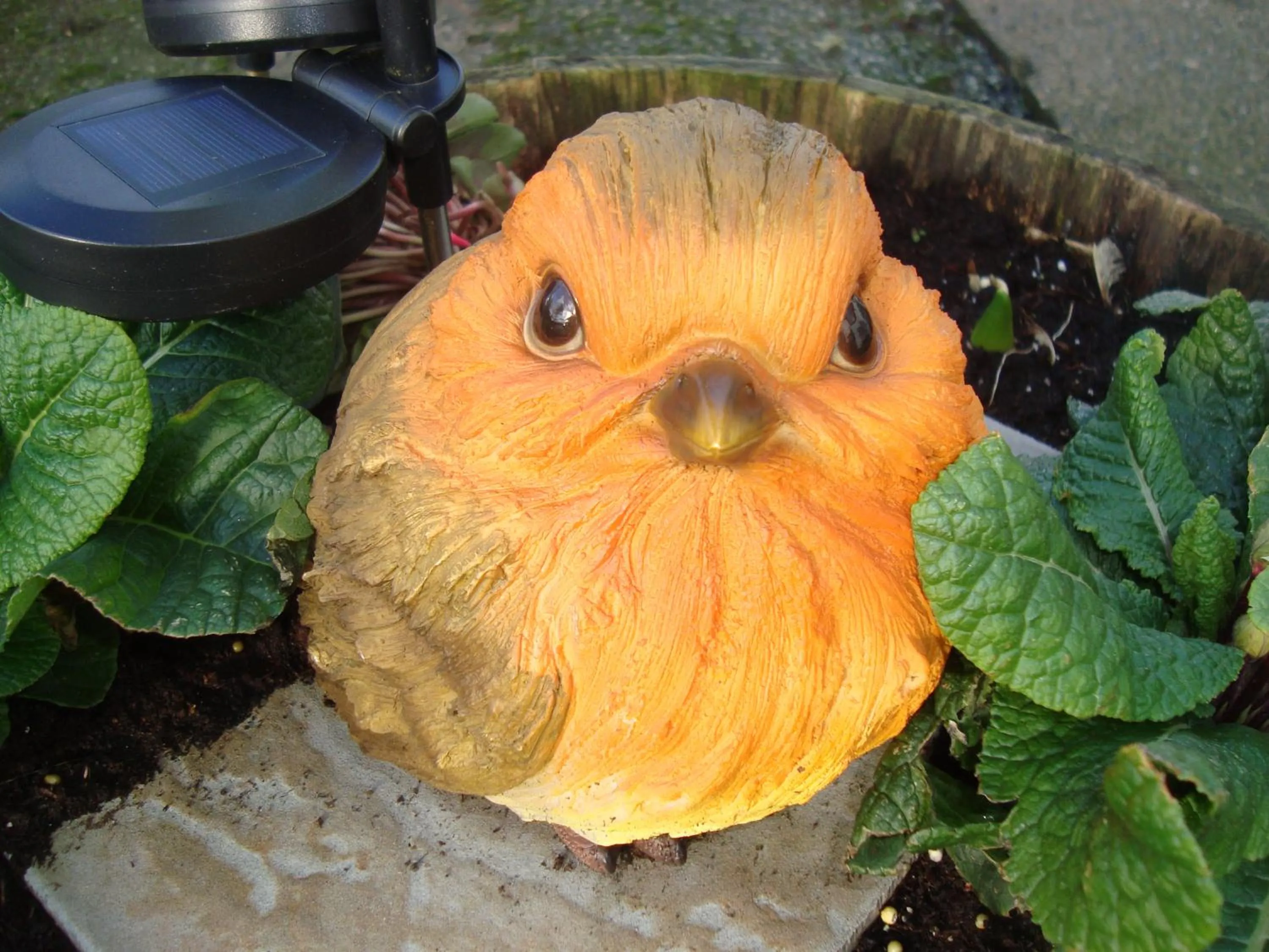 Property building in The Farmhouse Lochmeyler