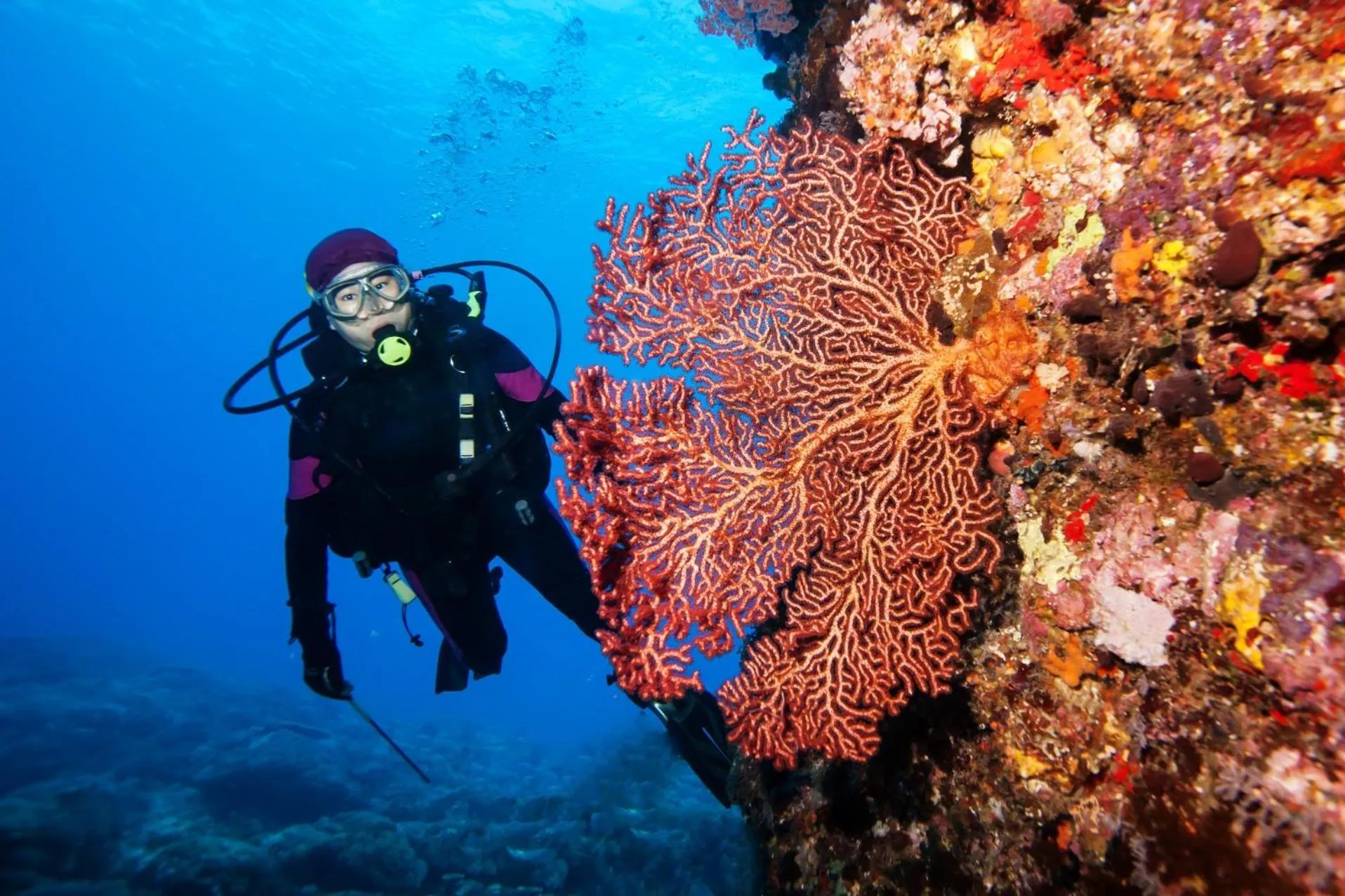 TITAN HOTEL - Formerly known as Golden Lotus Central Hotel