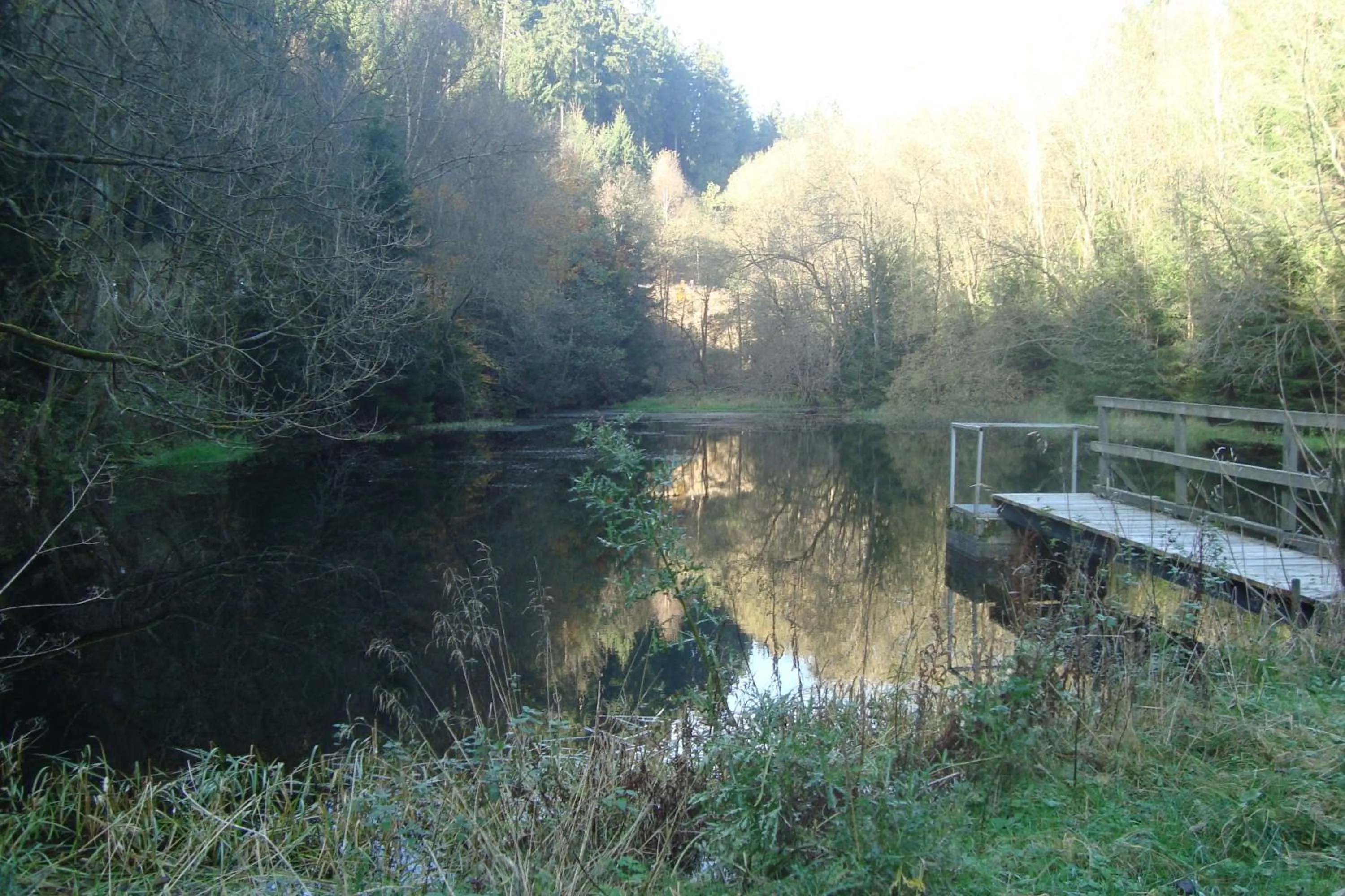 Area and facilities in Hotel zur Post