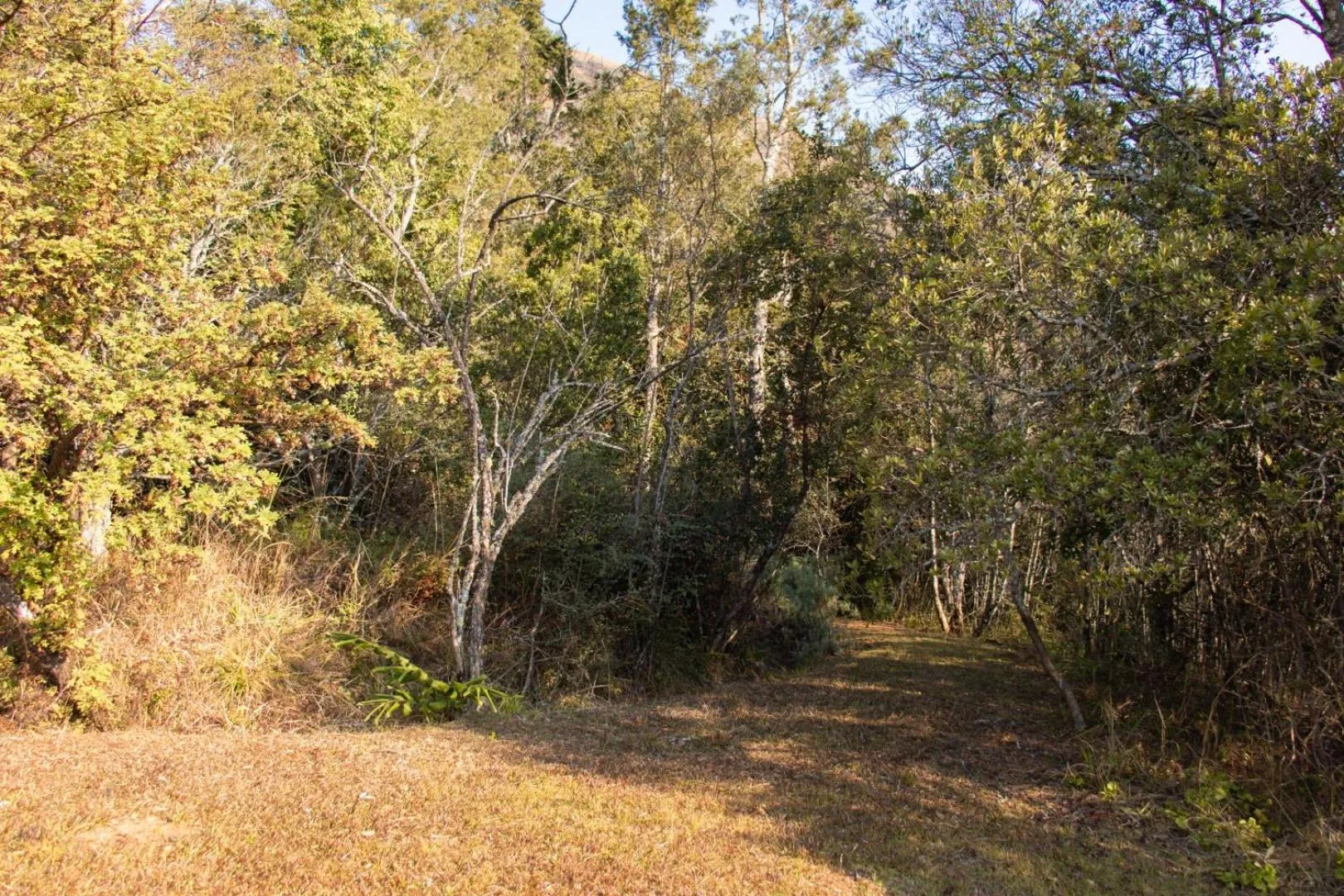 Natural landscape in Ondini Guest House