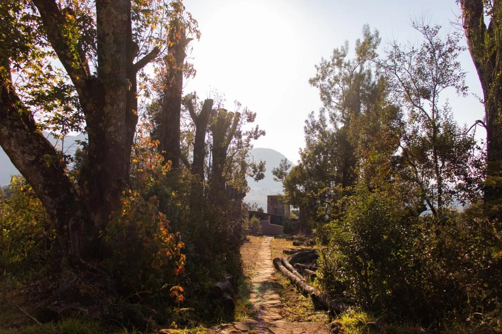Natural landscape in Ondini Guest House