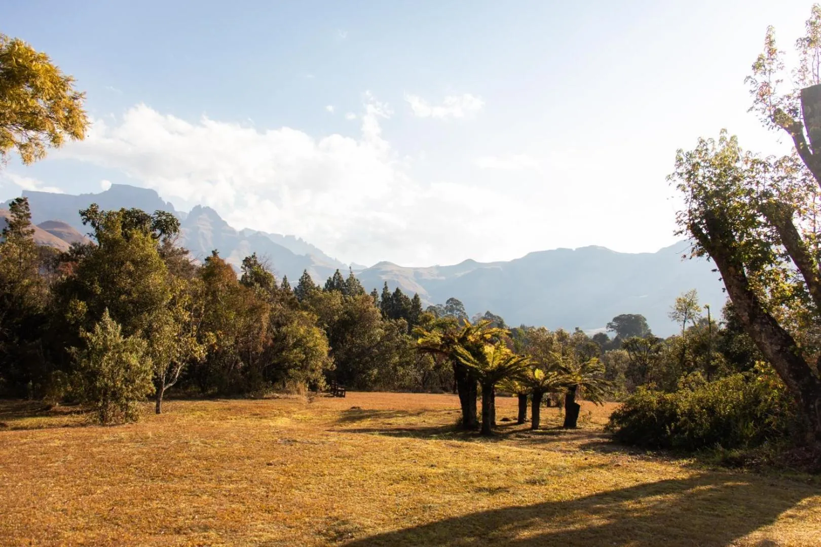 Natural landscape in Ondini Guest House