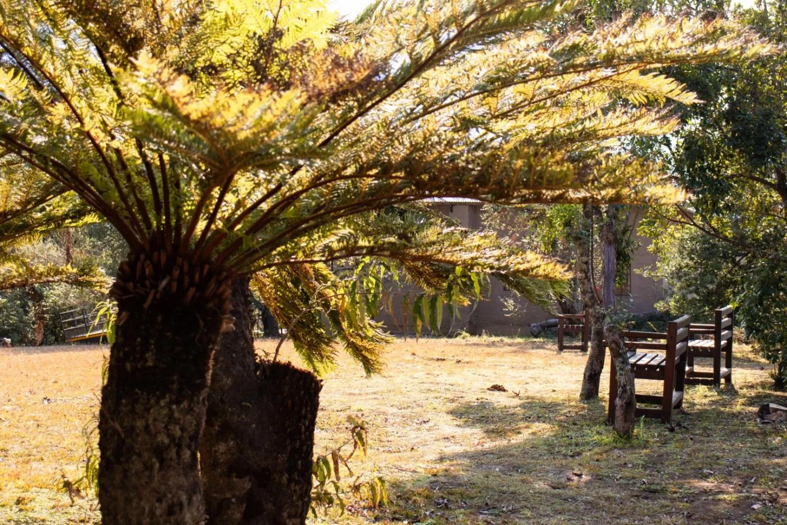 Garden in Ondini Guest House