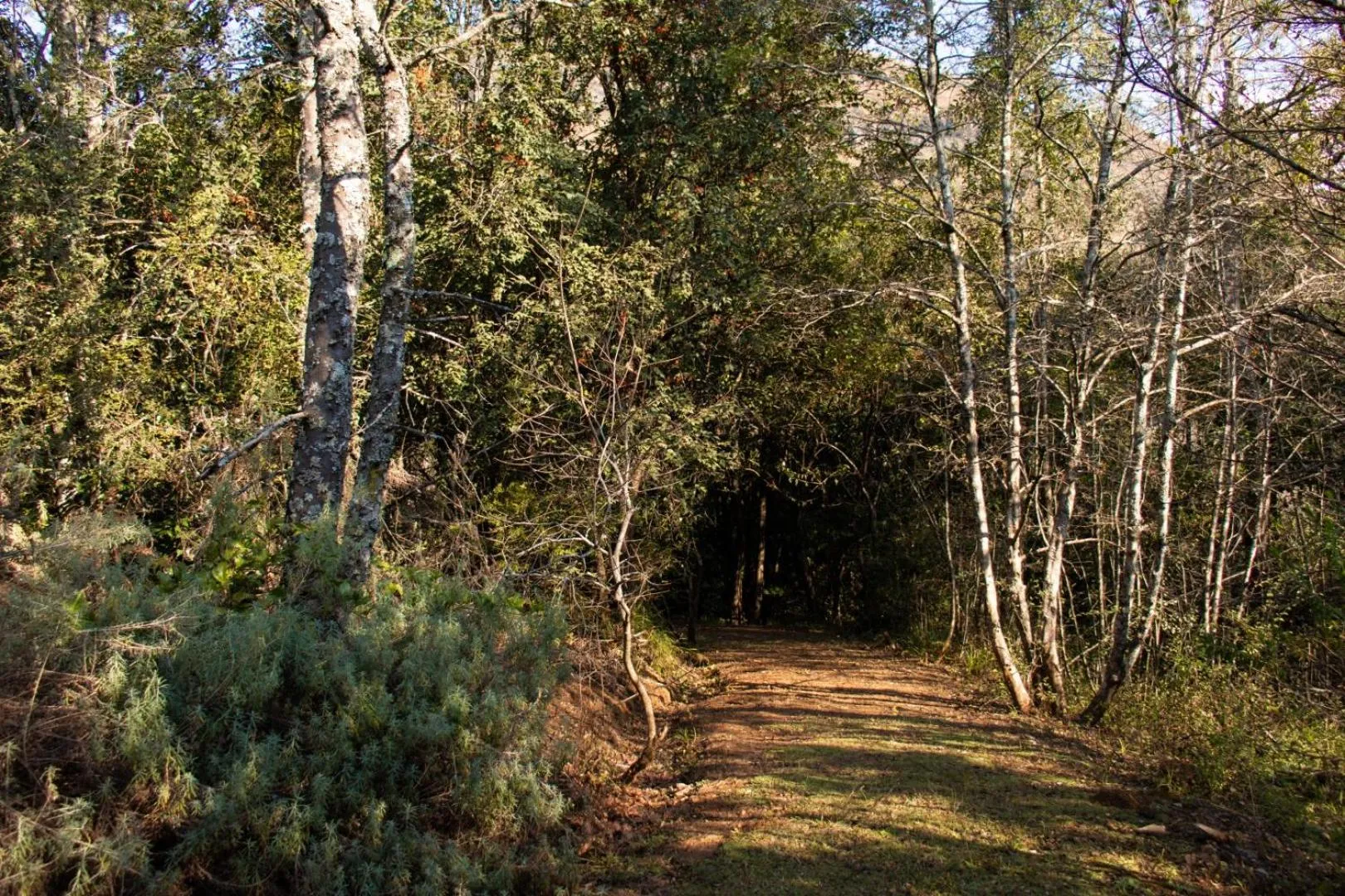 Natural landscape in Ondini Guest House