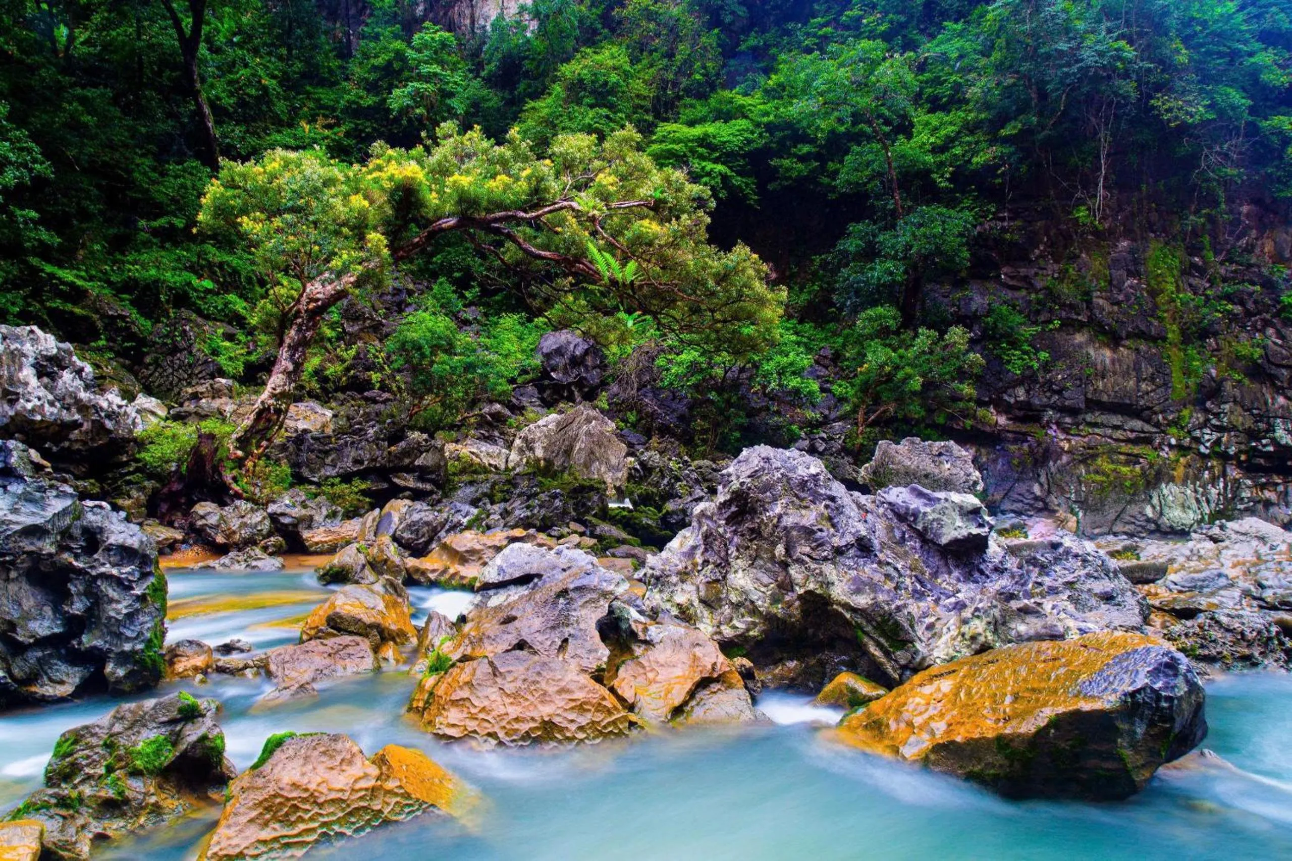 Nearby landmark in Phong Nha Ecolodge Homestay & Tours - Mountain View