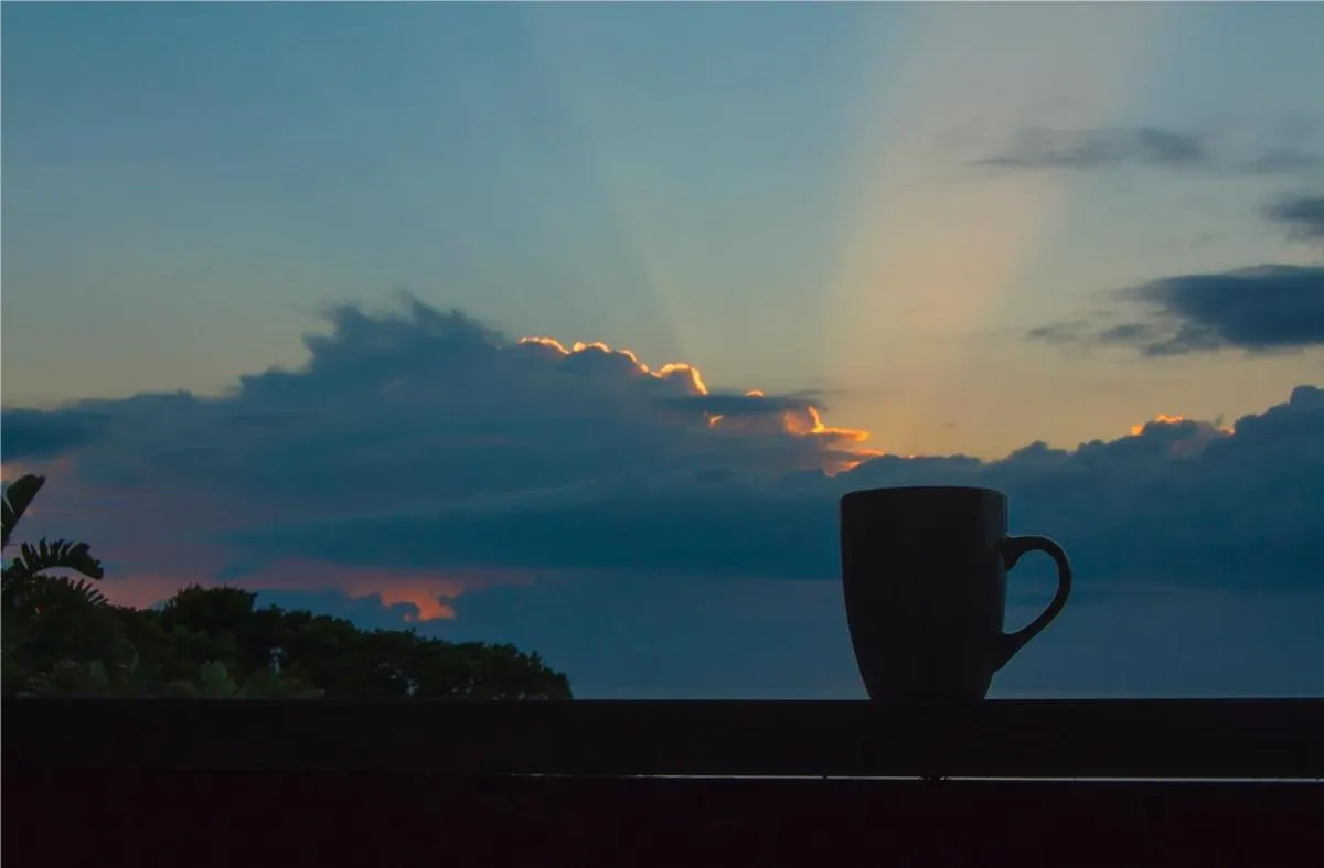 Coffee/tea facilities in IRONWOOD LODGE