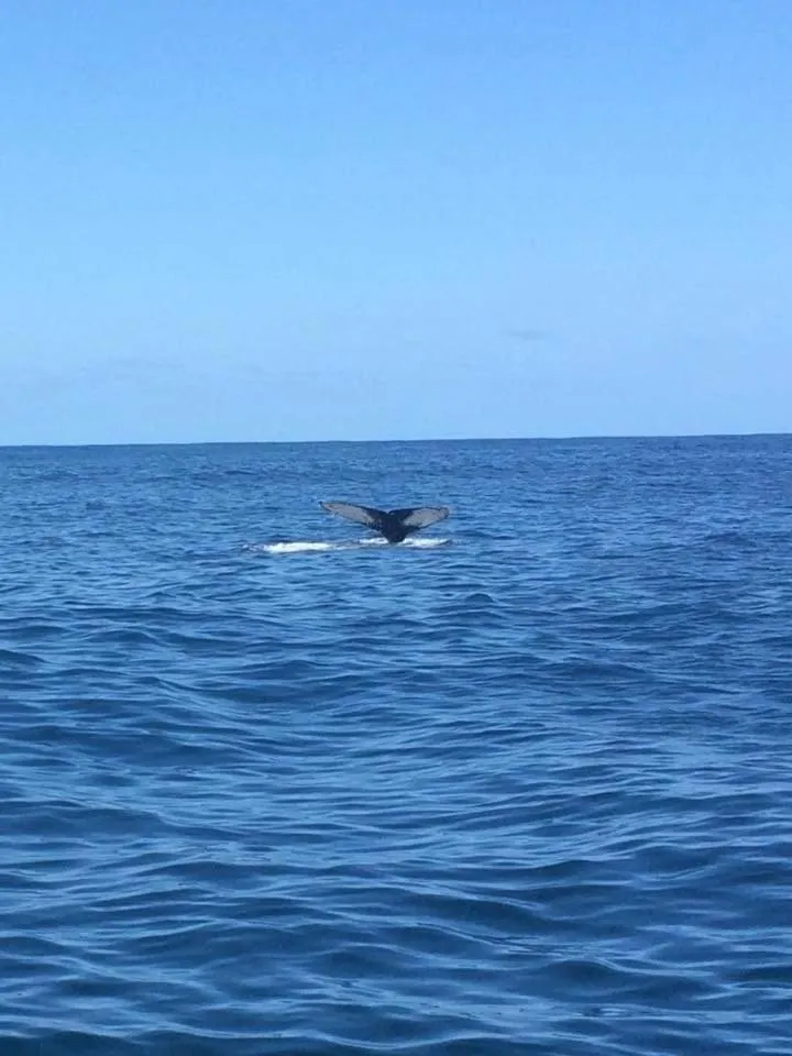 Off site in IRONWOOD LODGE