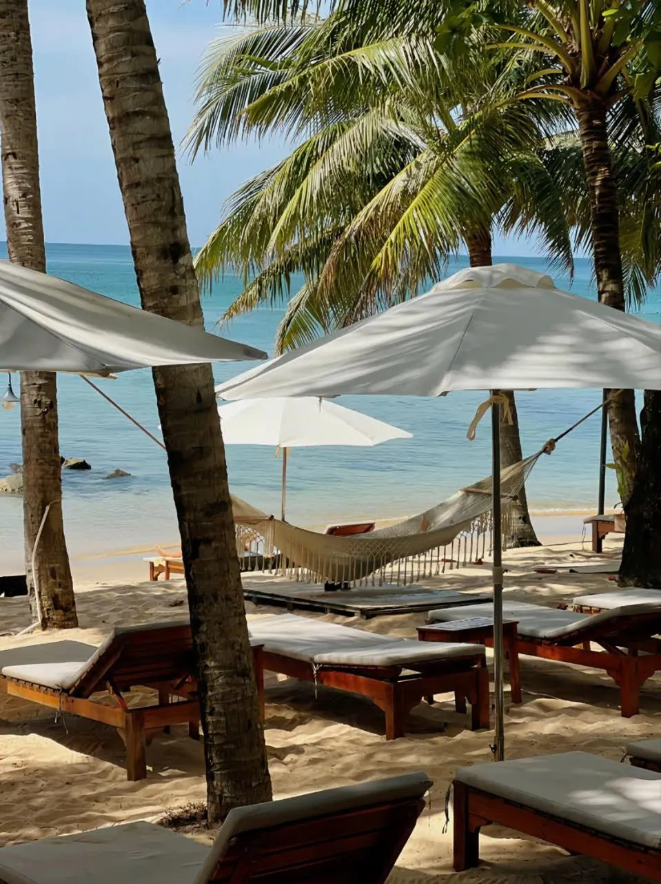 View (from property/room) in Vida Loca Sunset Beach Resort