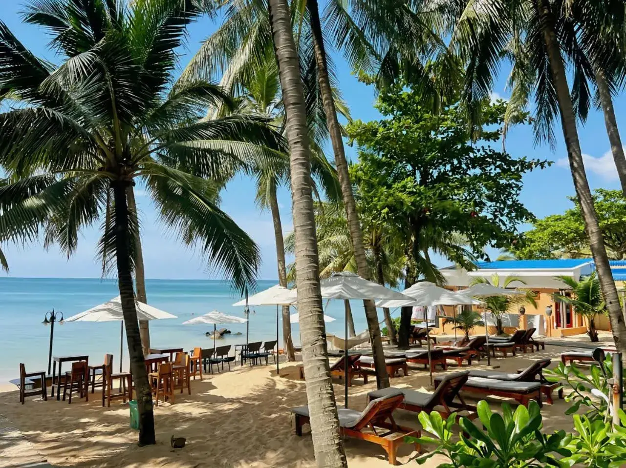 View (from property/room) in Vida Loca Sunset Beach Resort View (from property/room) in Vida Loca Sunset Beach Resort