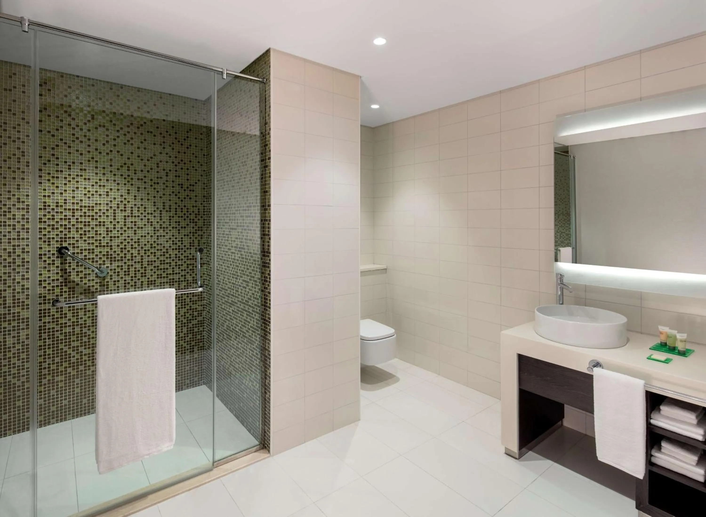 Bathroom in Hyatt Place Dubai Jumeirah