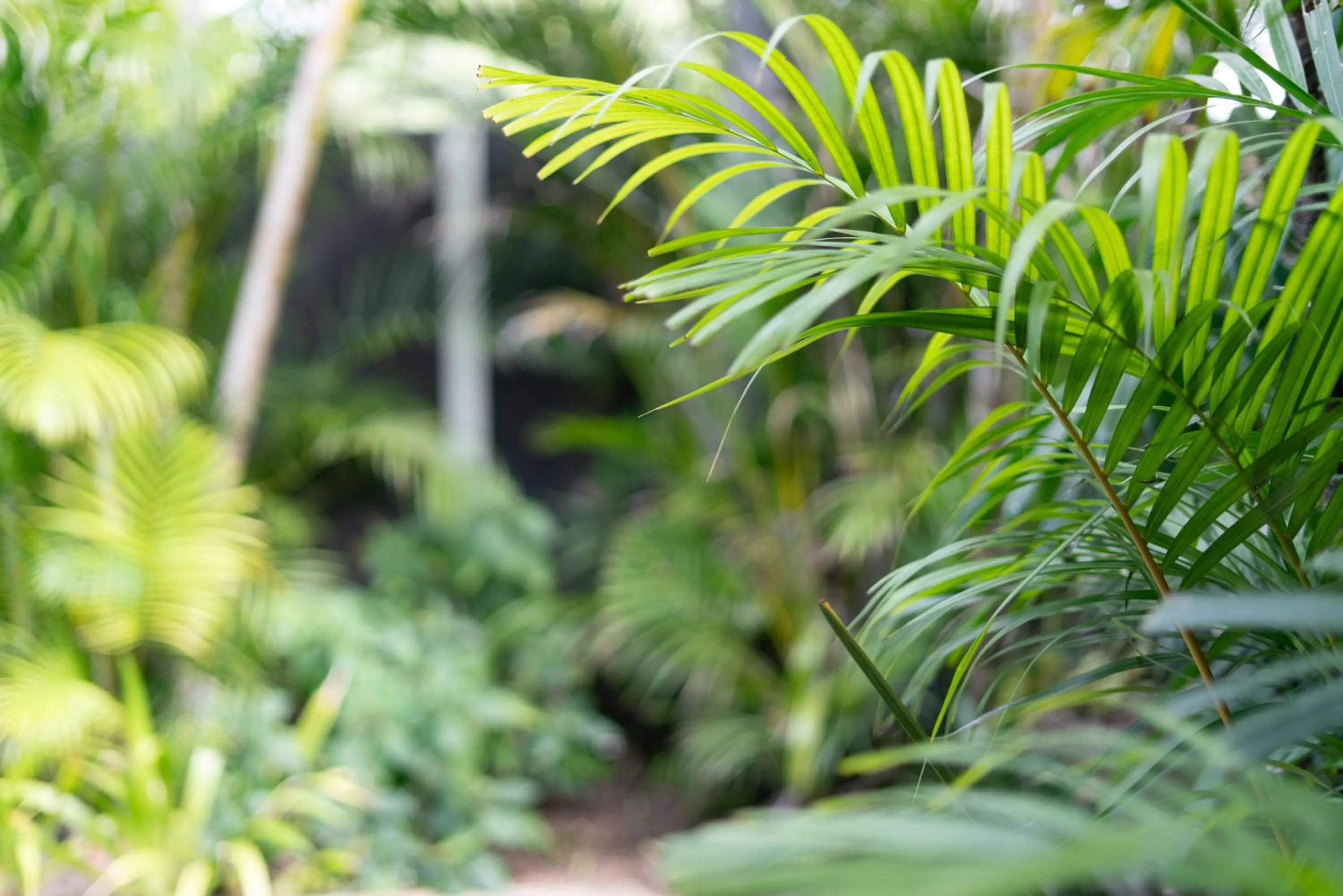 Beachcomber Peregian Beach