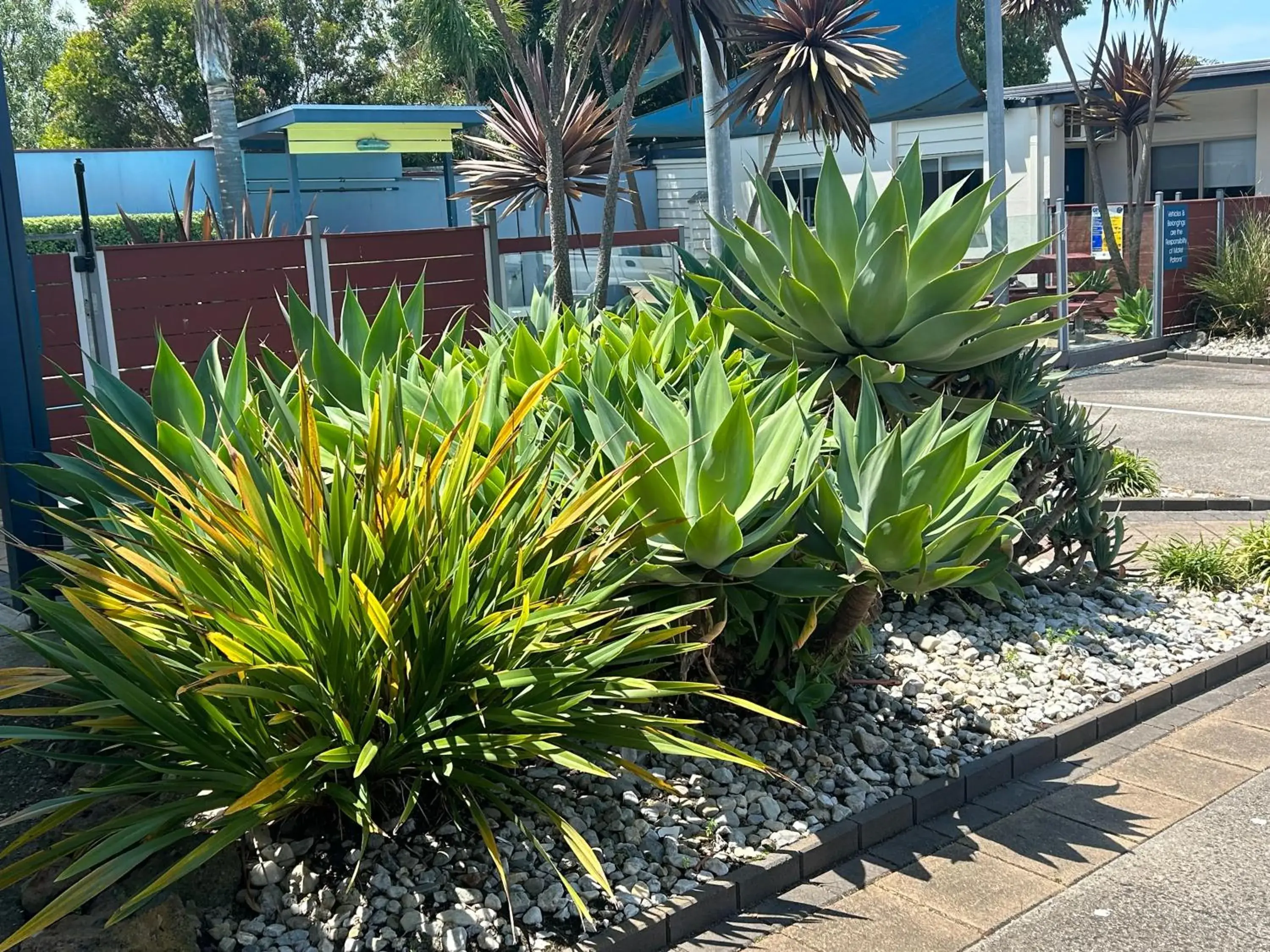 Apartment in Portarlington Beach Motel Apartment in Portarlington Beach Motel