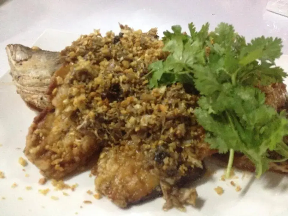 Restaurant/places to eat in The Curve Residence Restaurant/places to eat in The Curve Residence