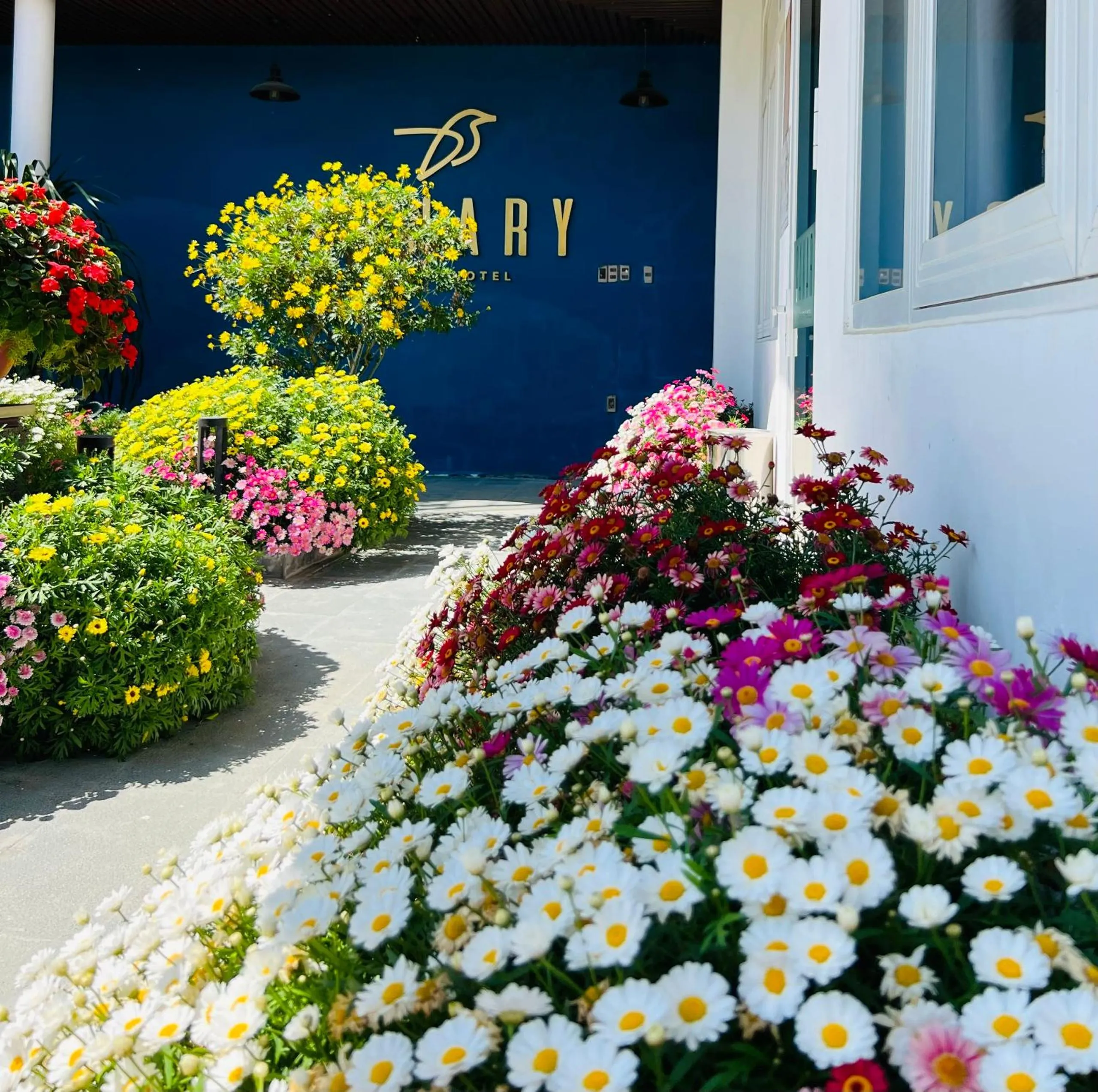 Property building in Canary Dalat Hotel