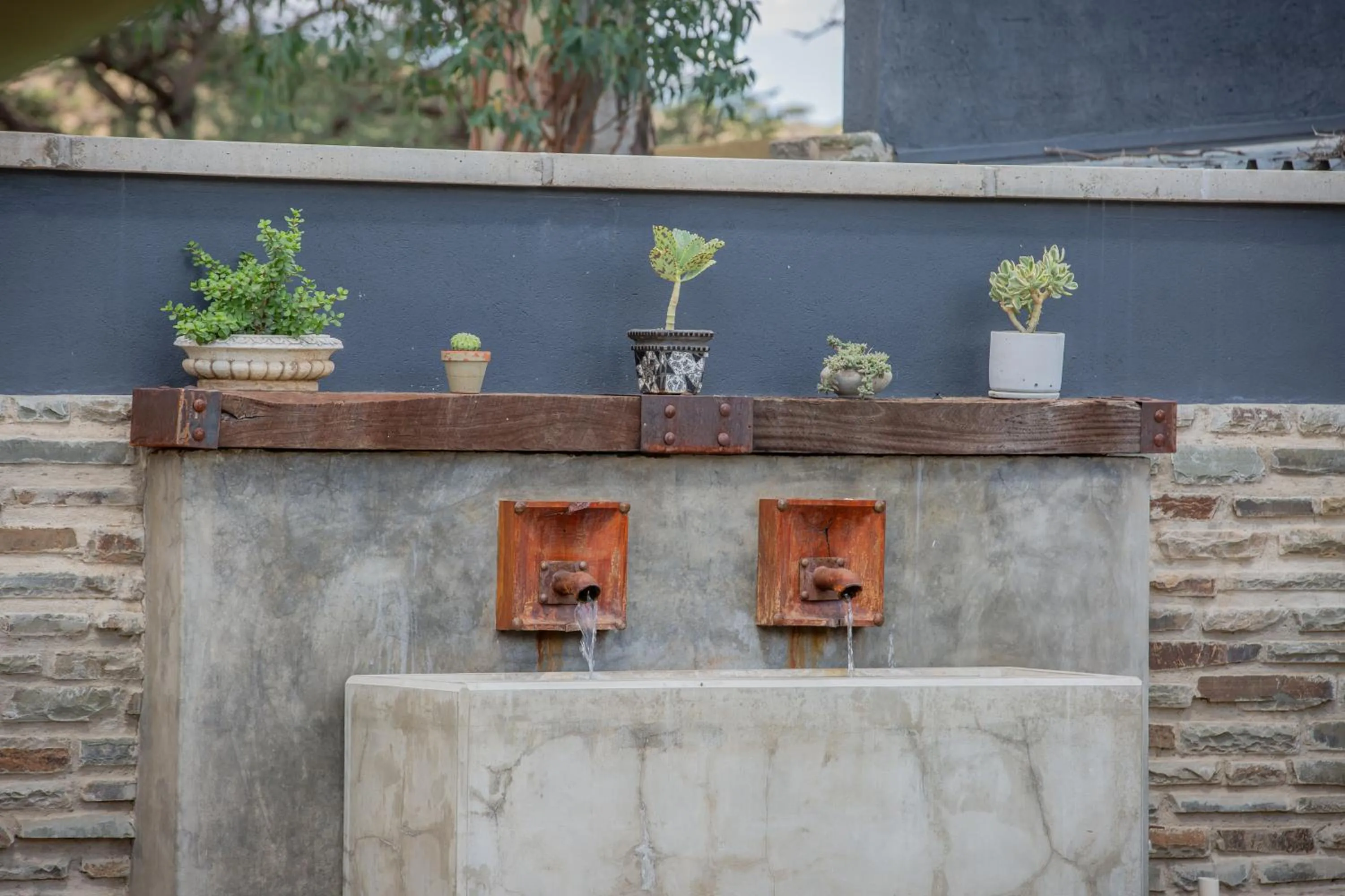 Swimming pool in Droombos Boutique Hotel