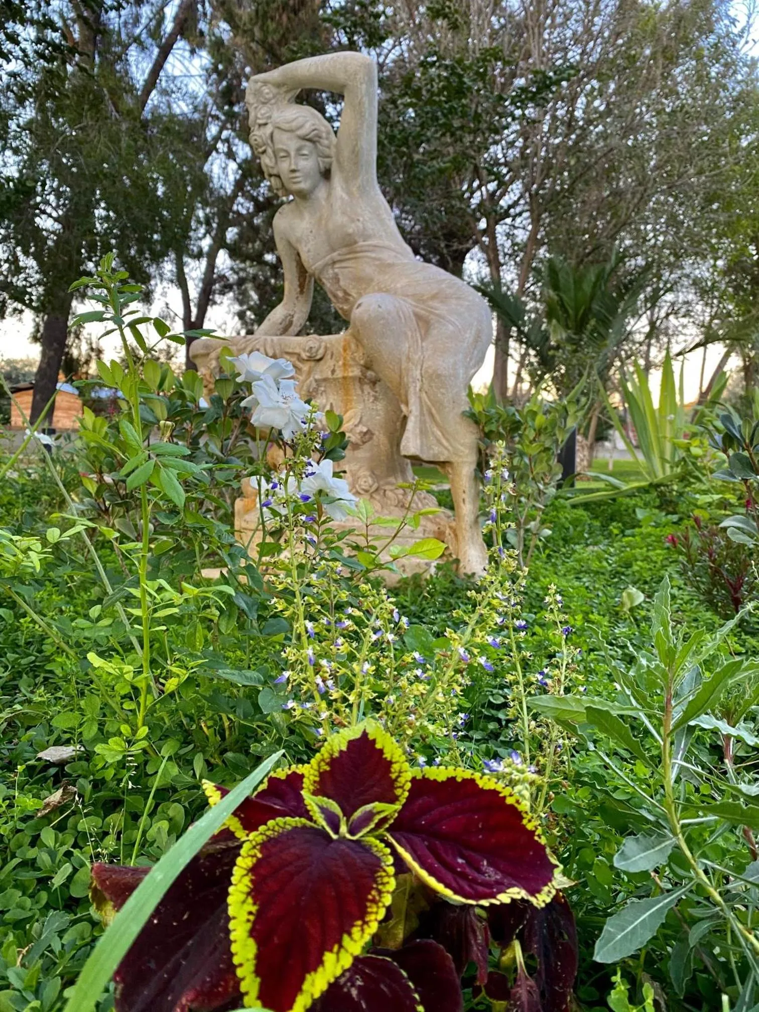 Spring in Droombos Boutique Hotel