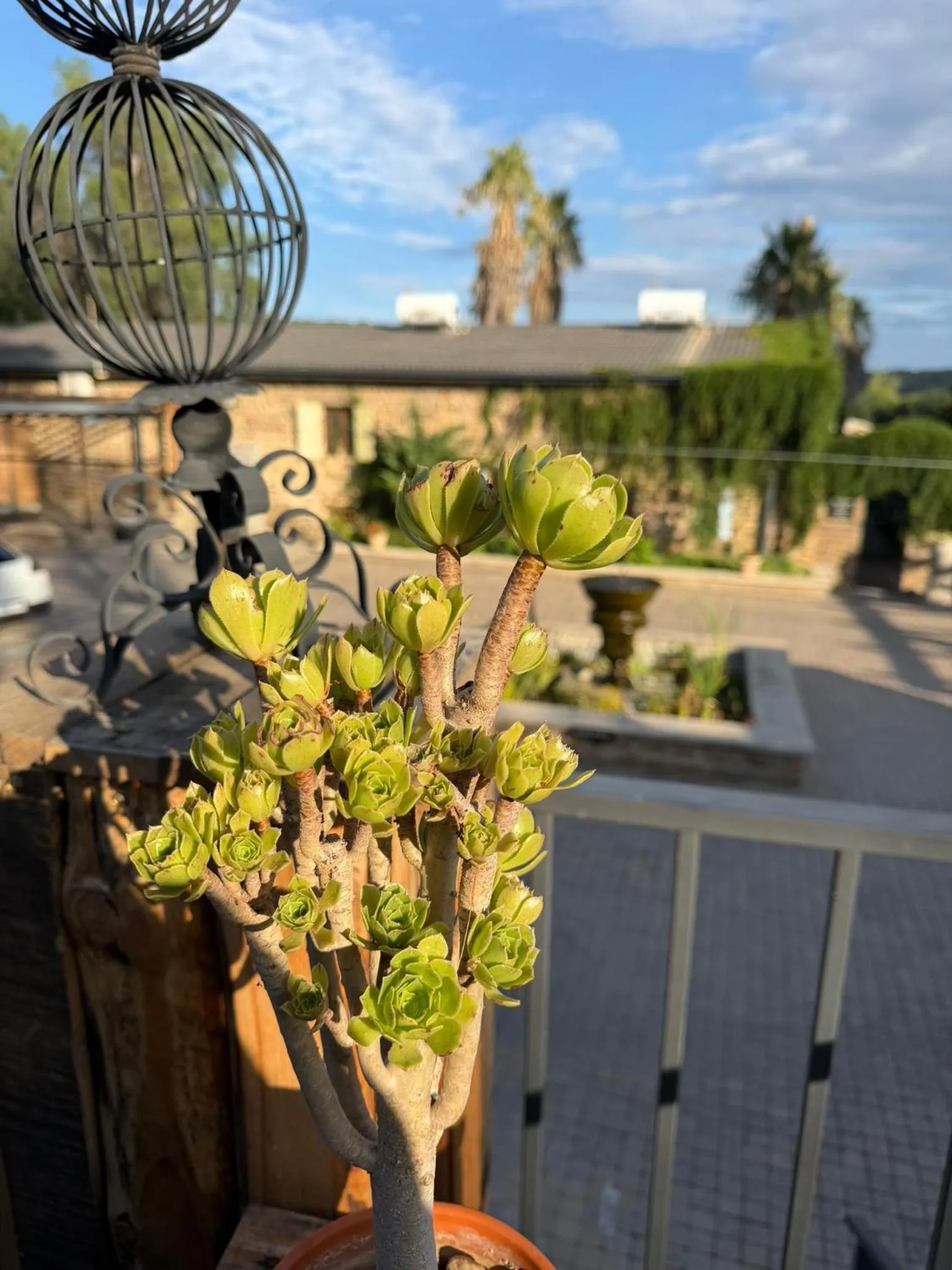 Day in Droombos Boutique Hotel