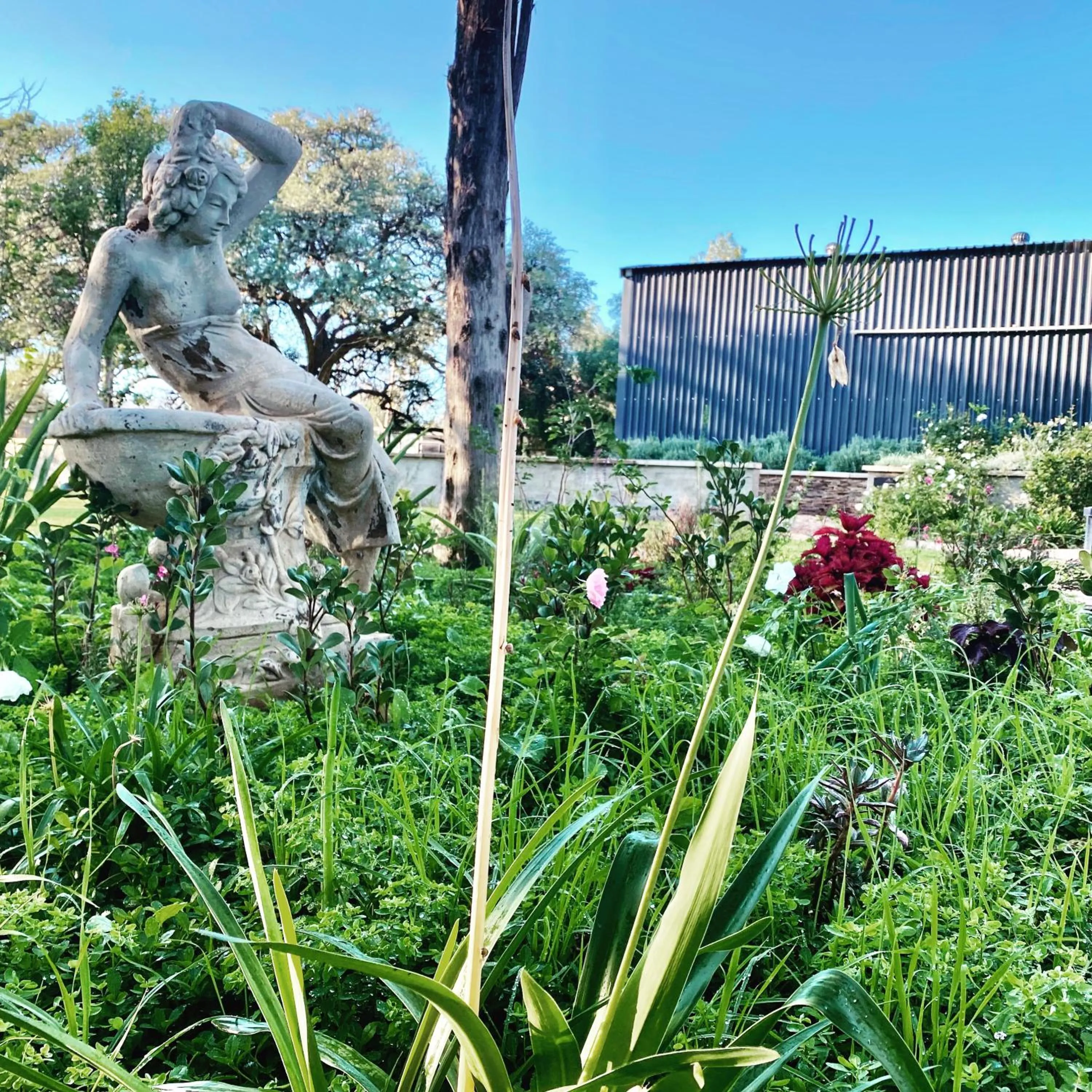 Garden in Droombos Boutique Hotel