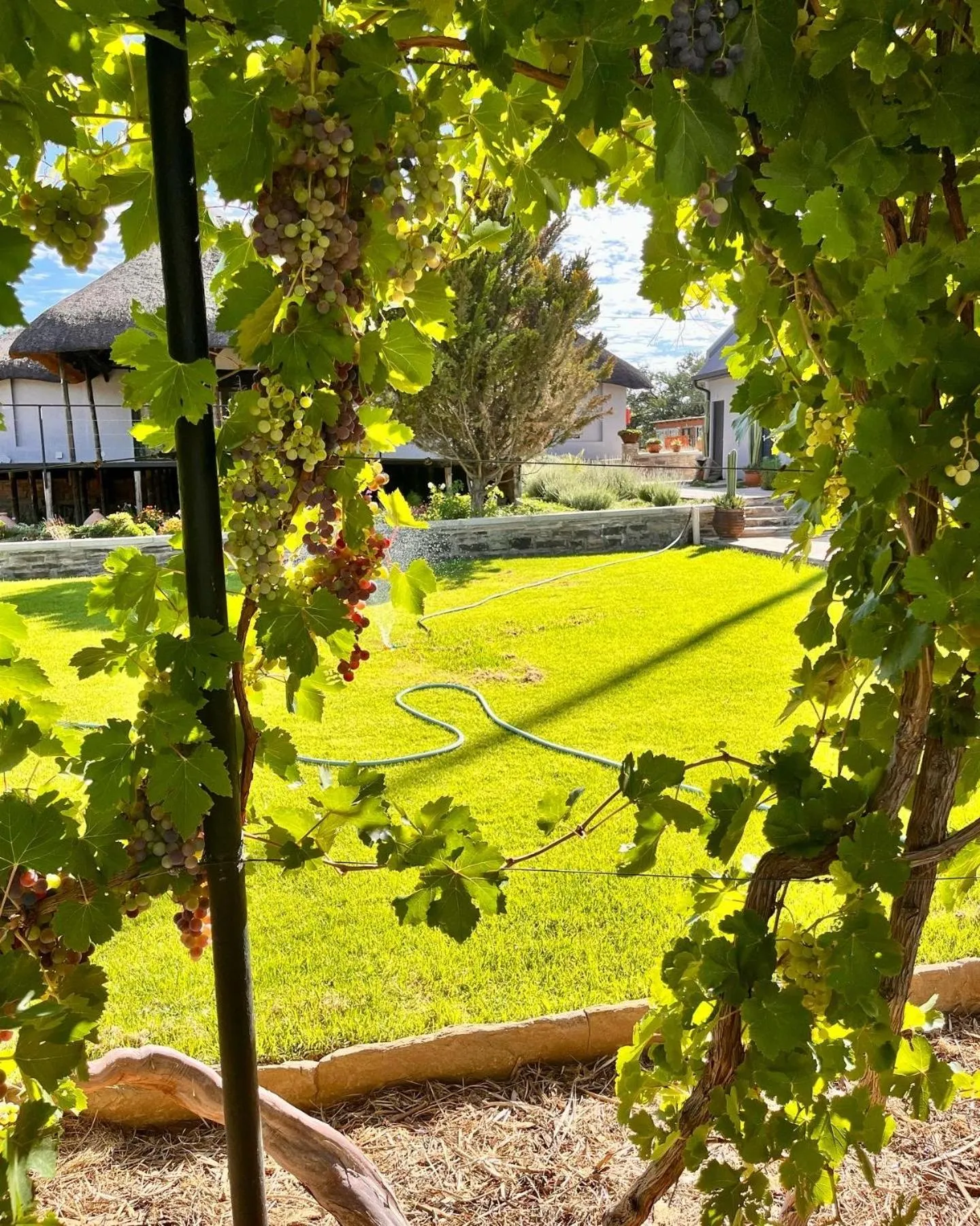 Spring in Droombos Boutique Hotel