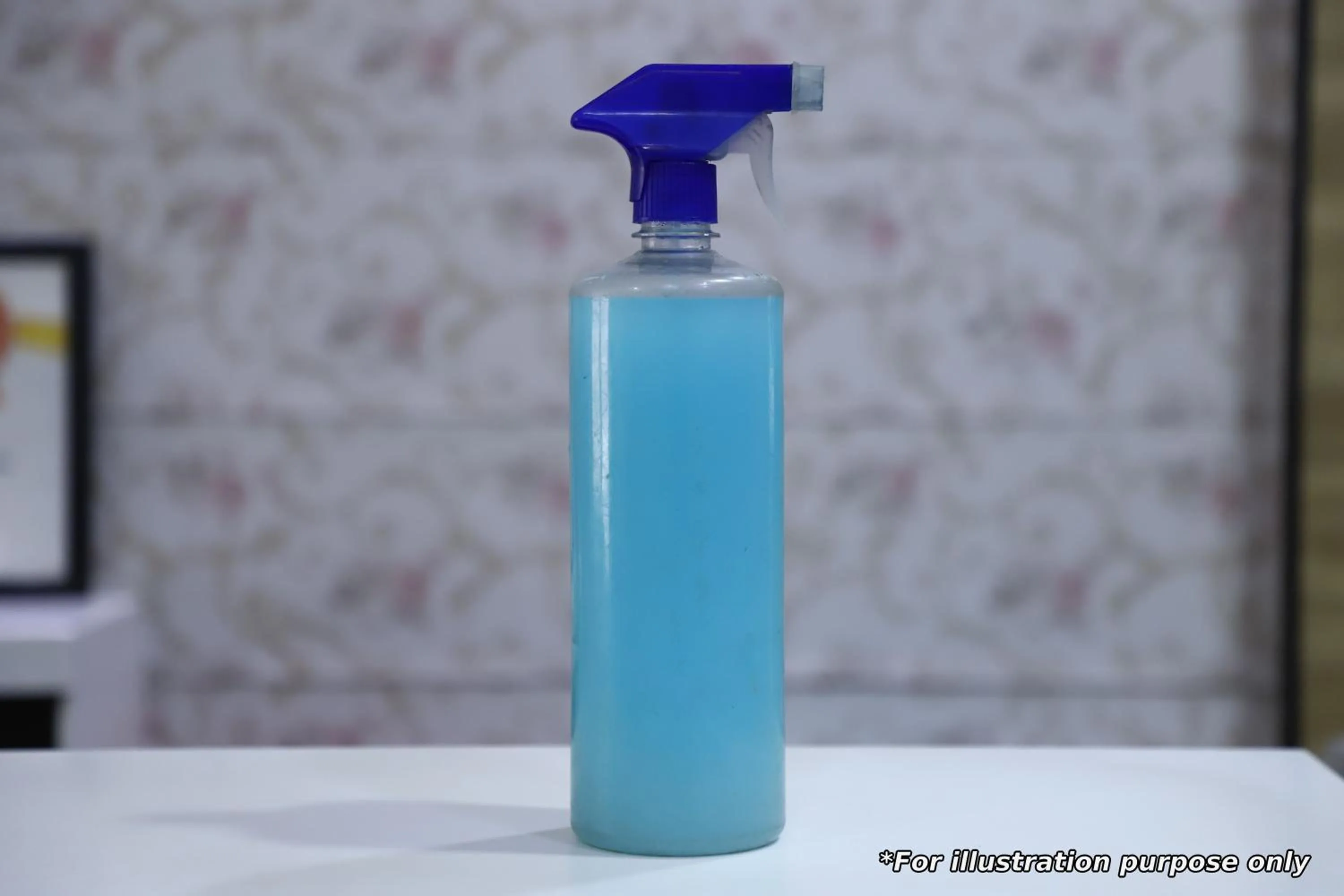 Area and facilities in Hotel Radoli House - A Heritage Hotel