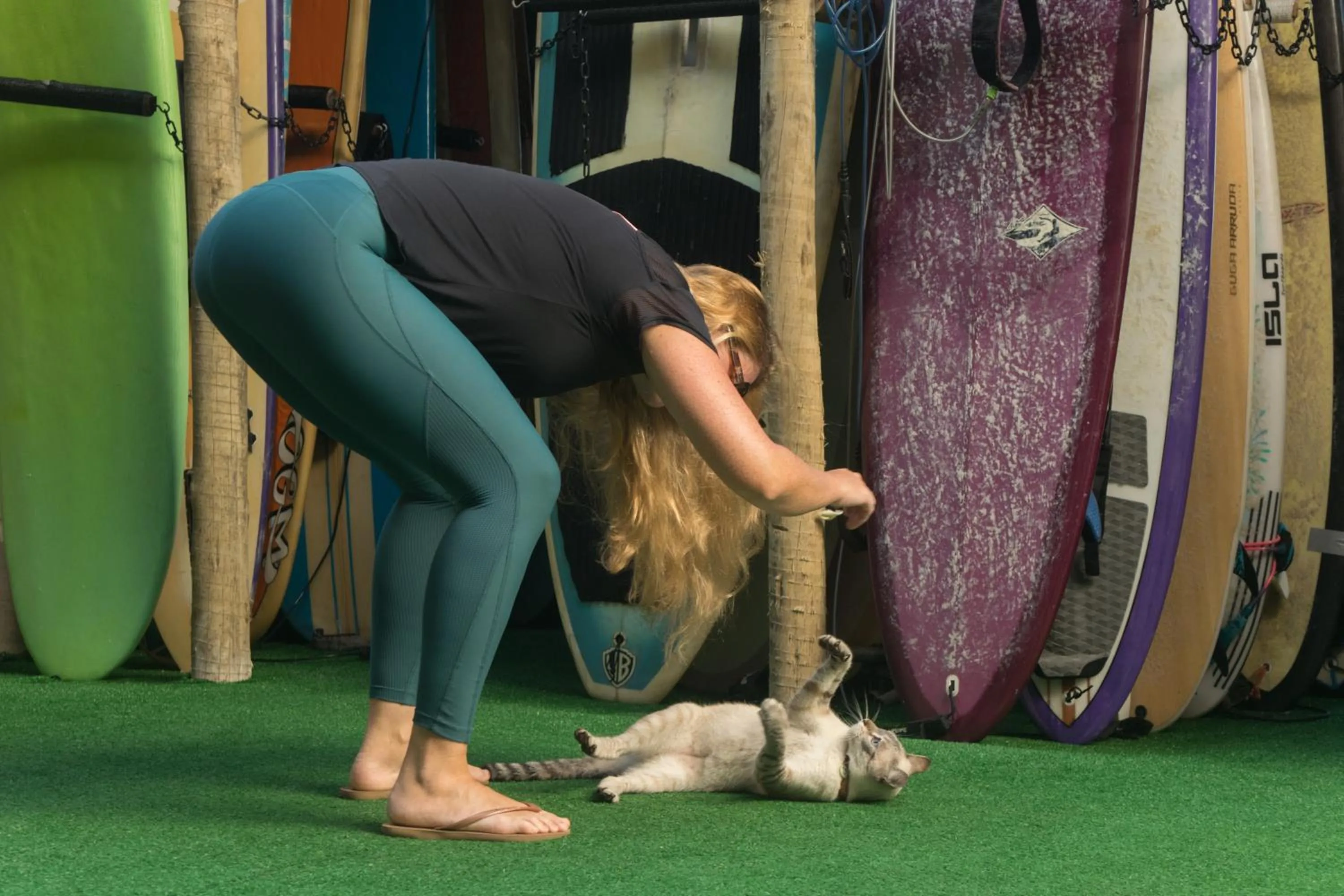 Pets in Longboard Paradise Suítes