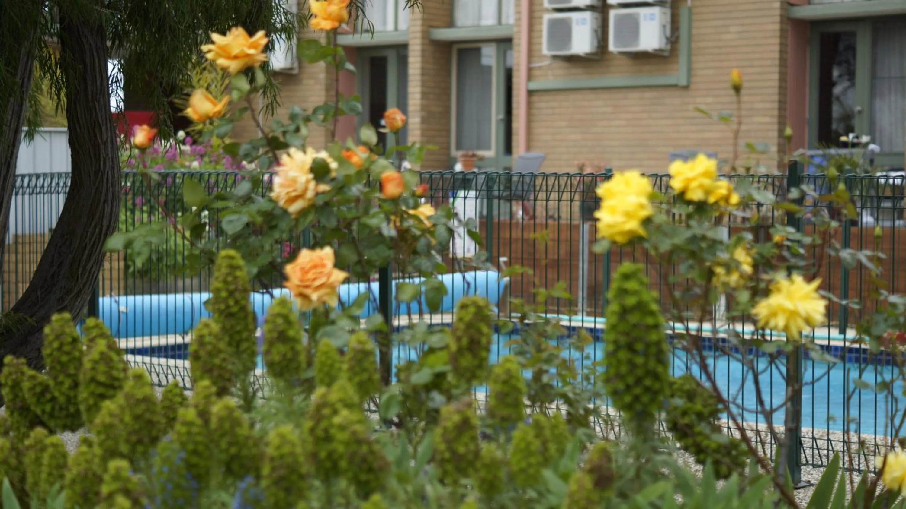 Patio in Parkwood Motel & Apartments