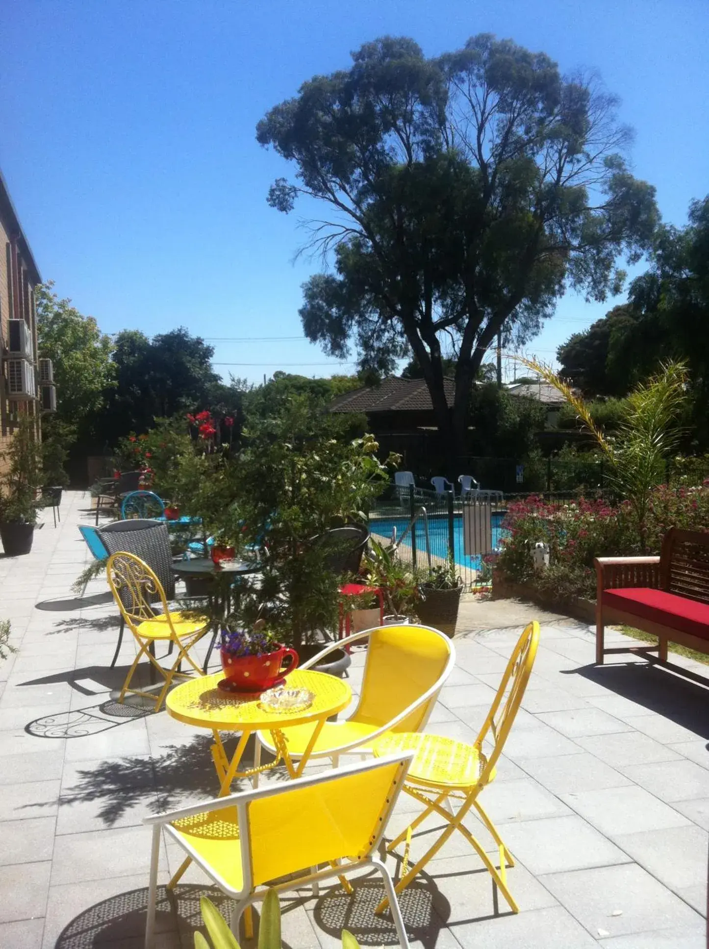 Garden in Parkwood Motel & Apartments Garden in Parkwood Motel & Apartments