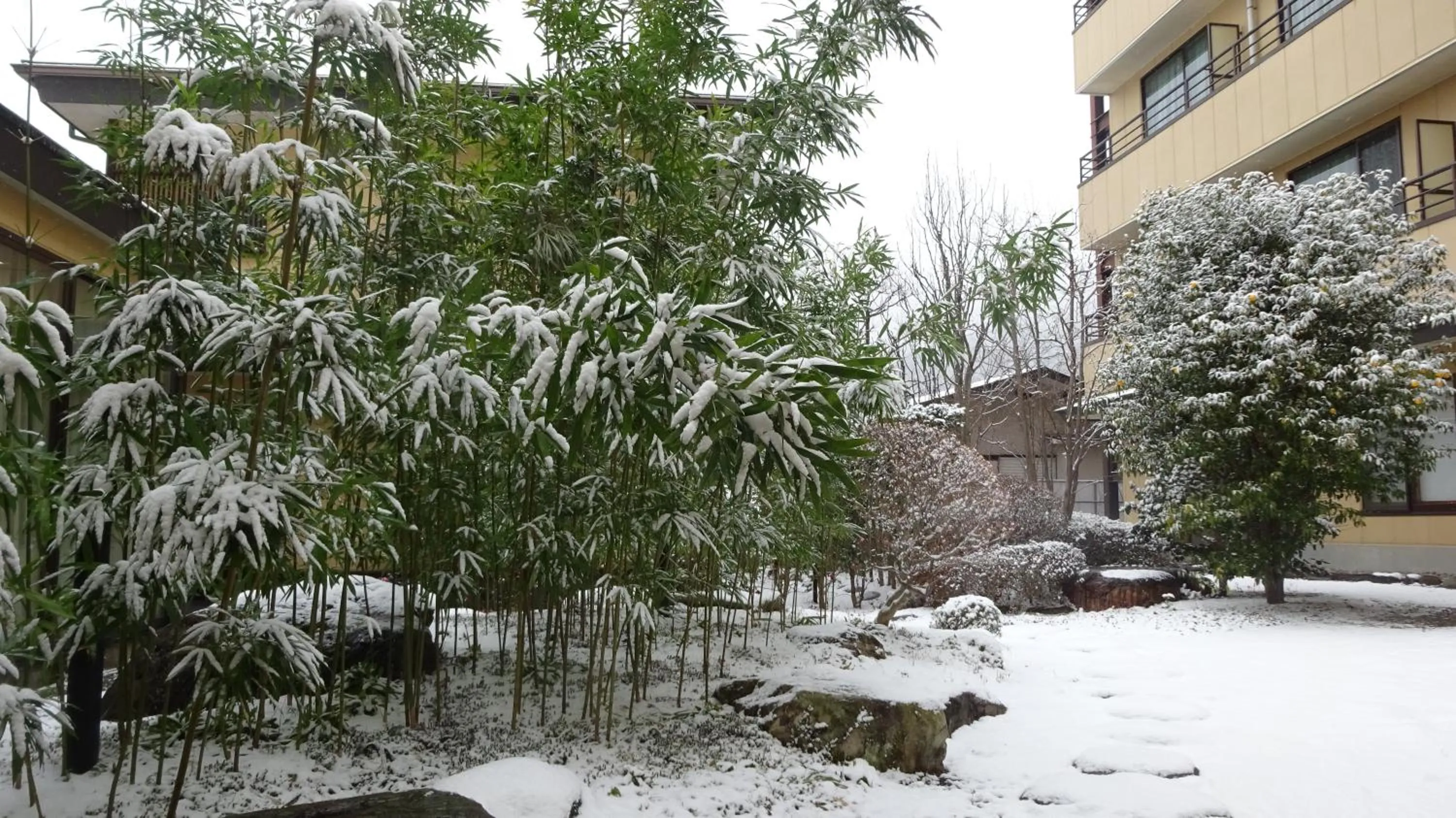 View (from property/room) in Hotel Kinu