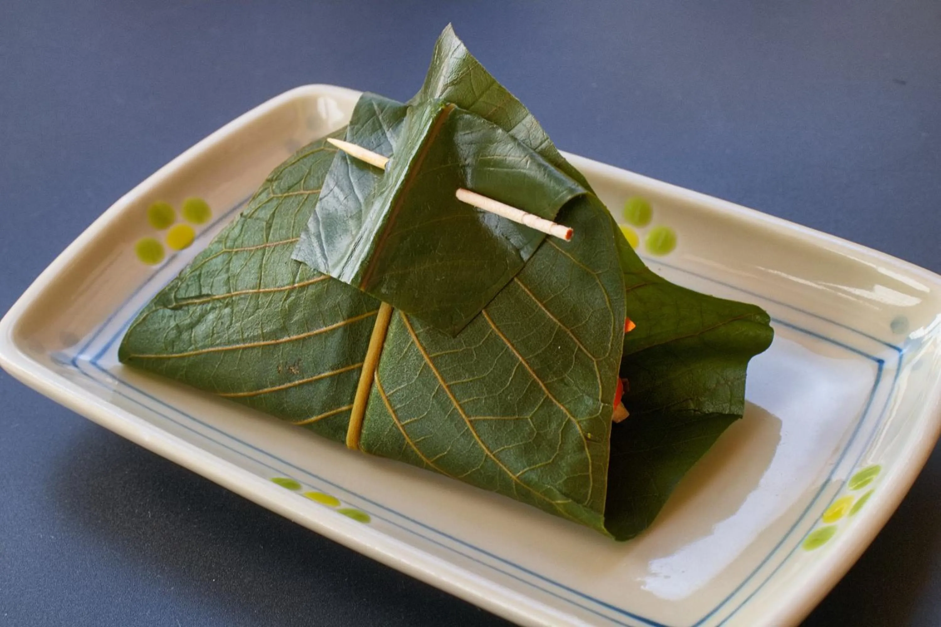 Dinner in Hotel Kinu