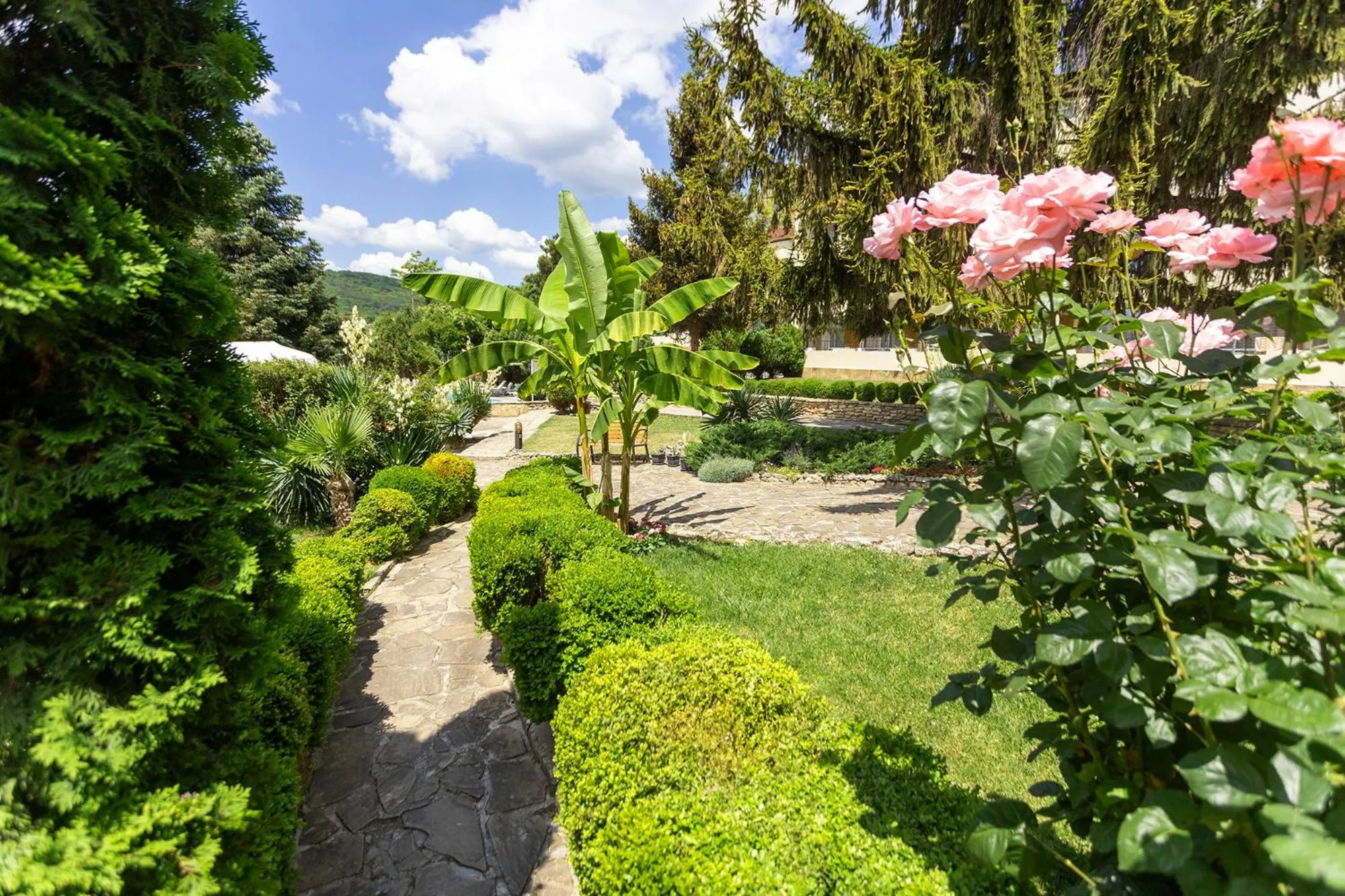Garden in Hotel Naslada