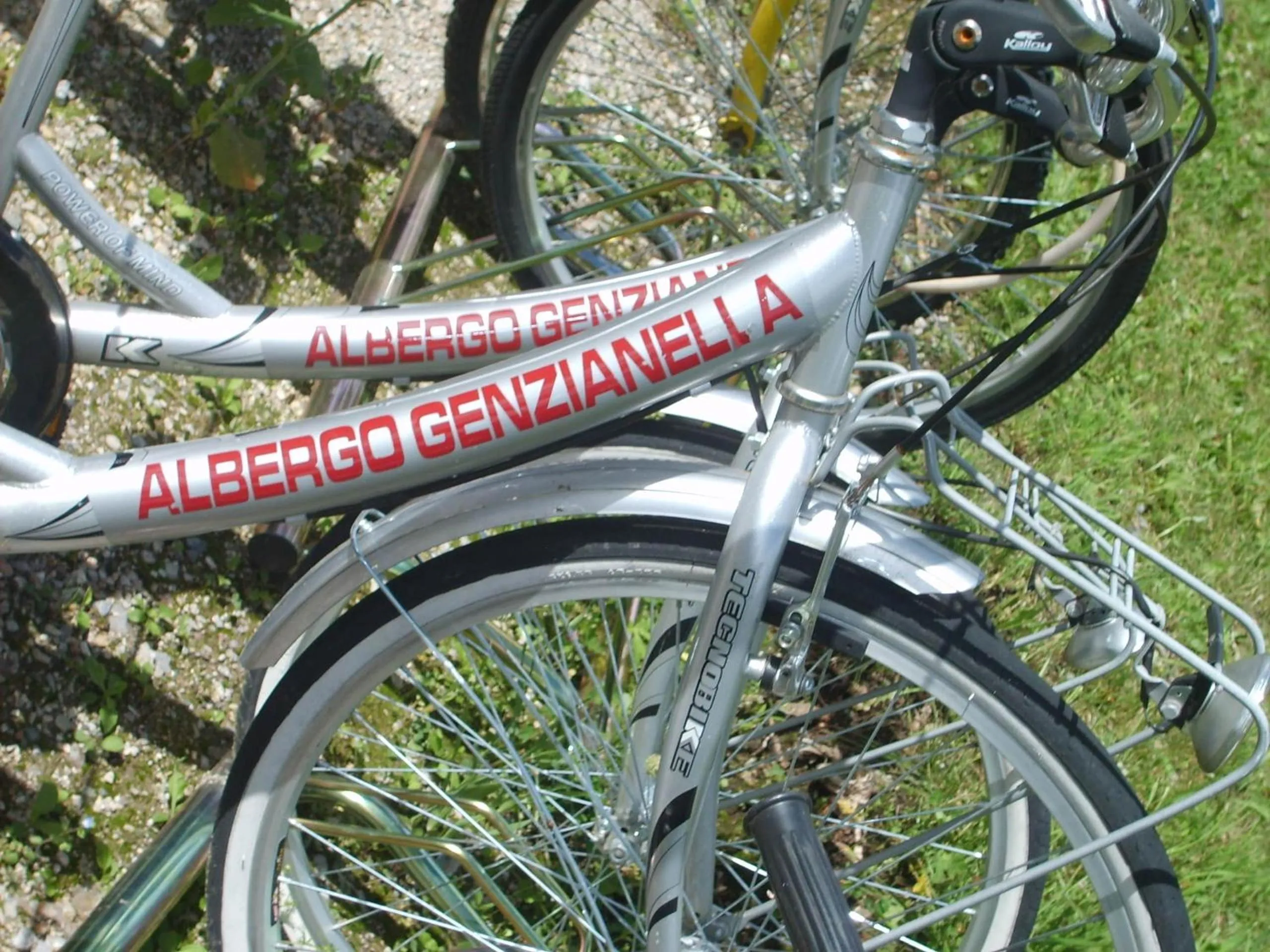 Activities in Hotel Genzianella