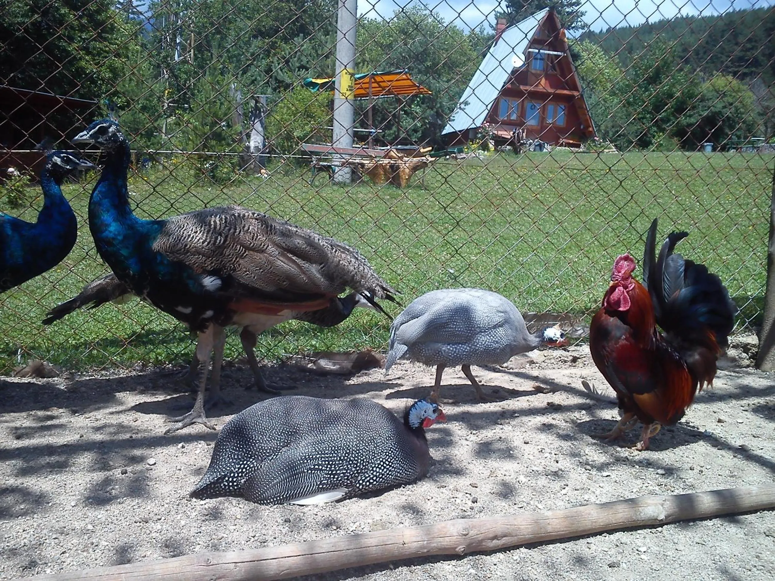 Garden in Rusaliite Adventure House