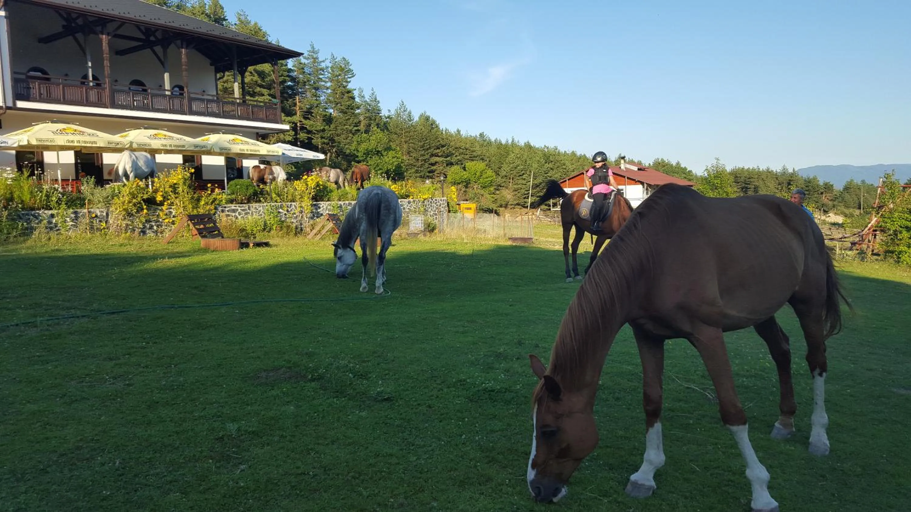 Horse-riding in Rusaliite Adventure House