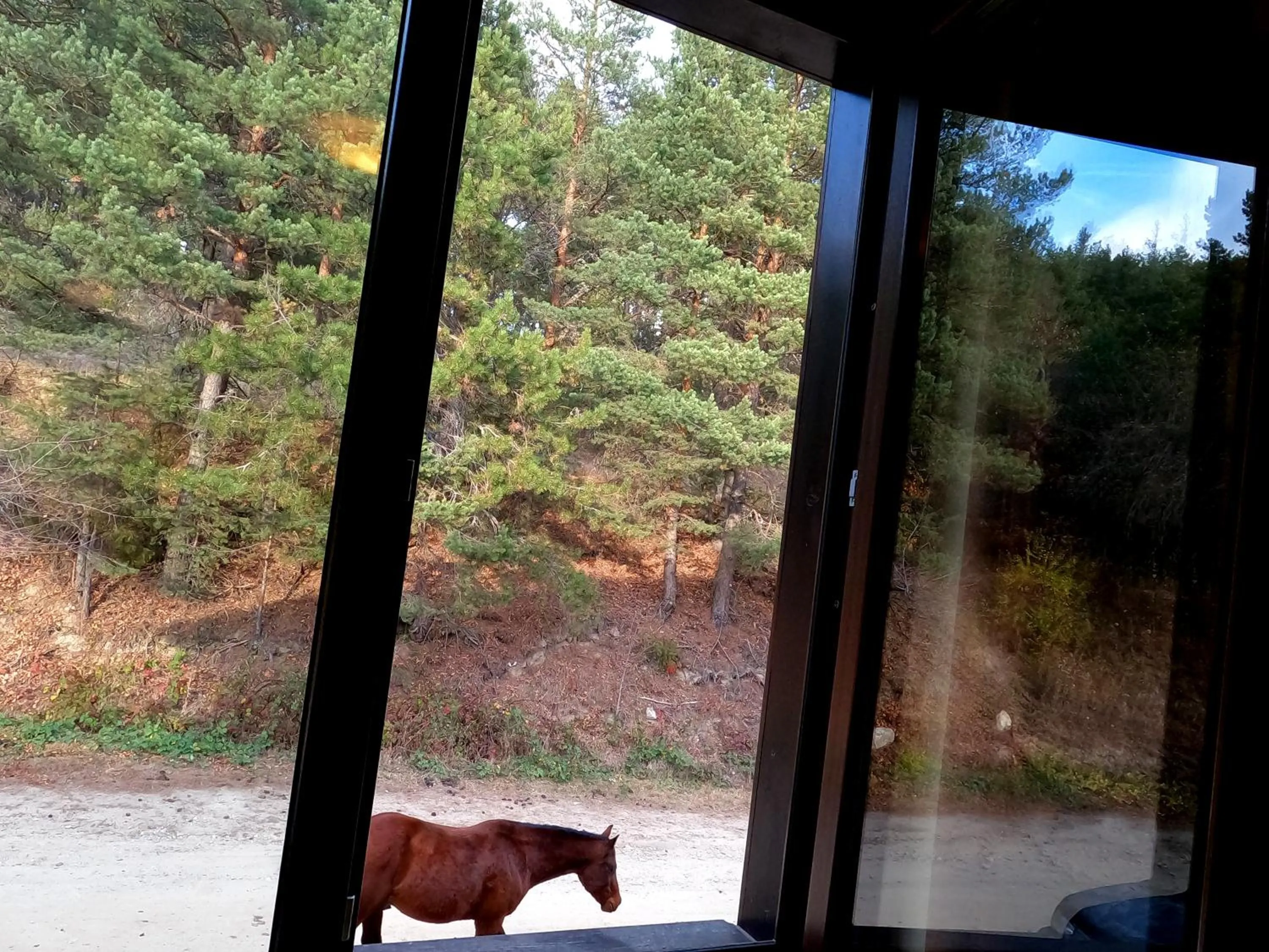 Garden view in Rusaliite Adventure House