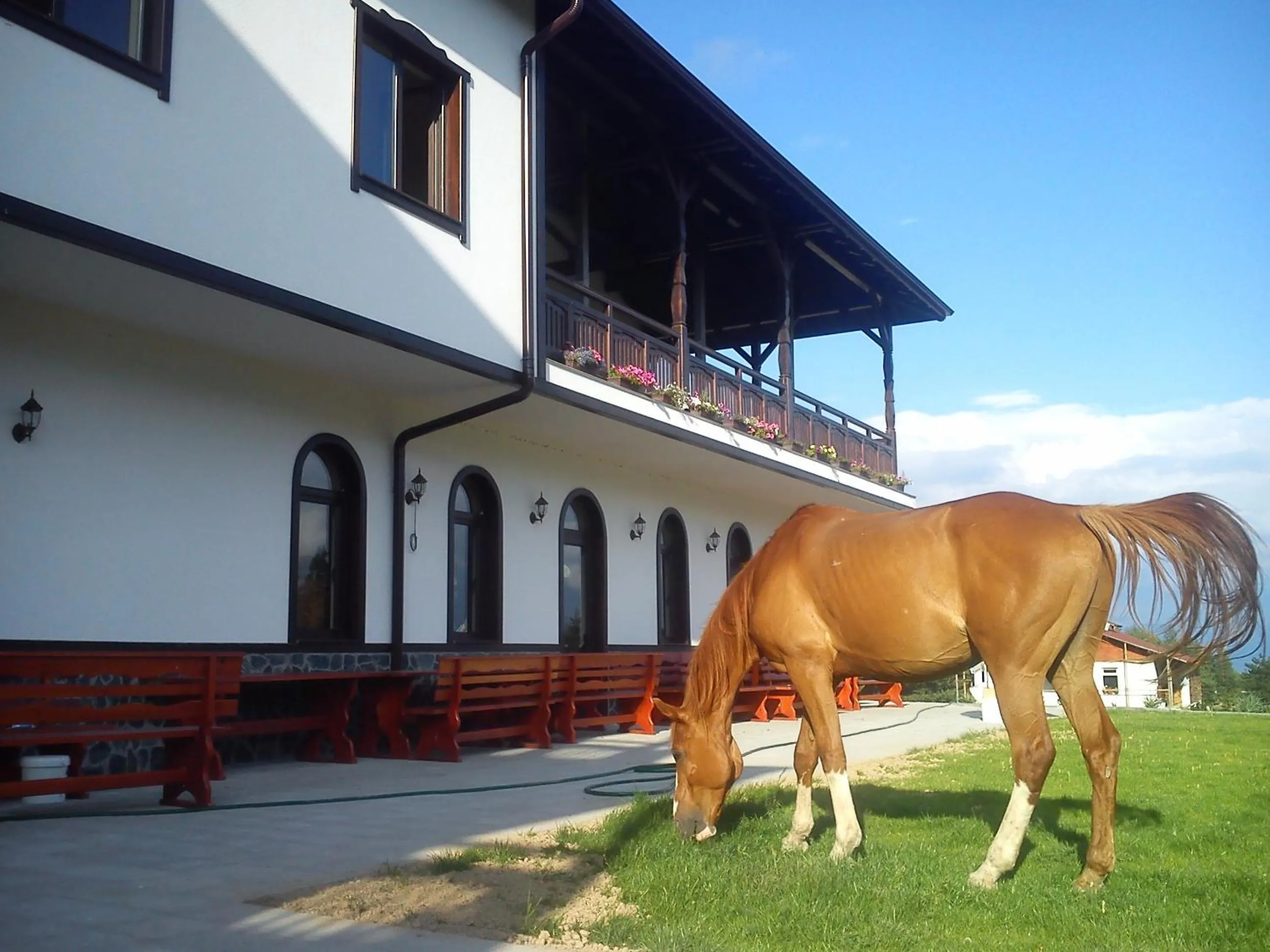 Property building in Rusaliite Adventure House